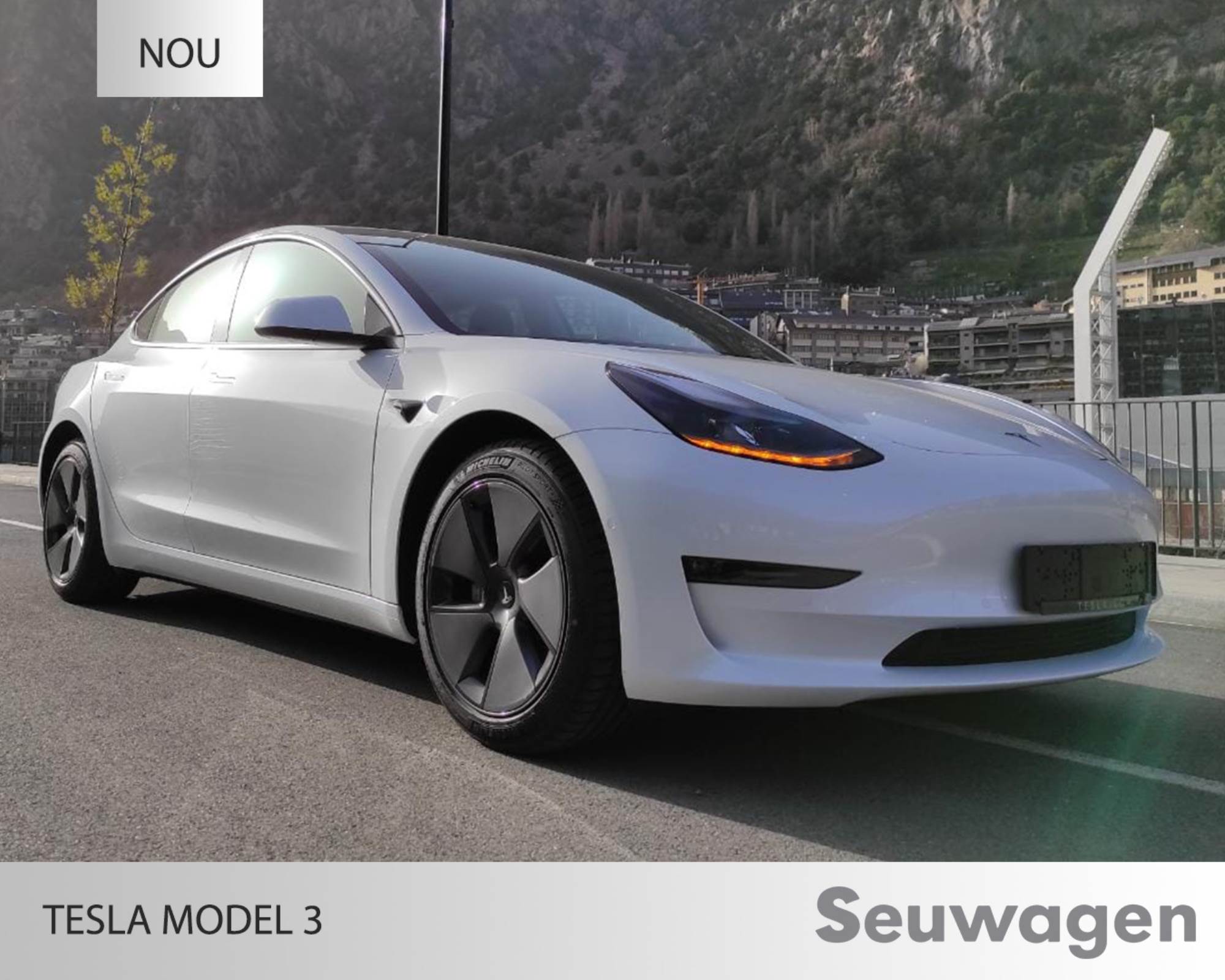 Tesla Model 3 standard range renting