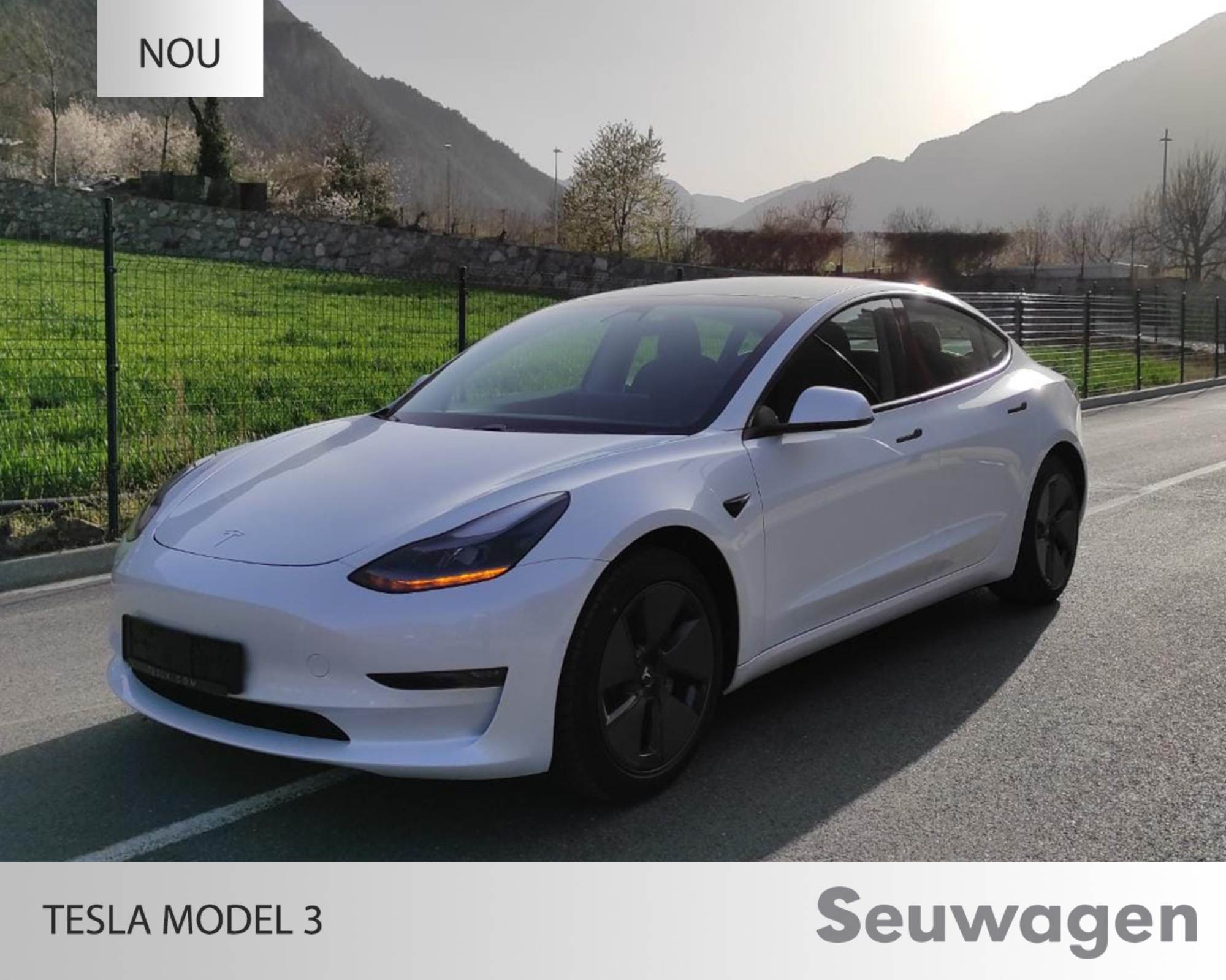 Tesla Model 3 standard range renting