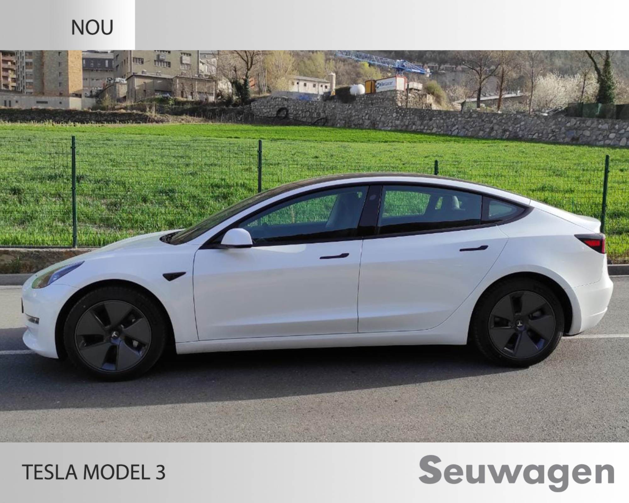 Tesla Model 3 standard range renting