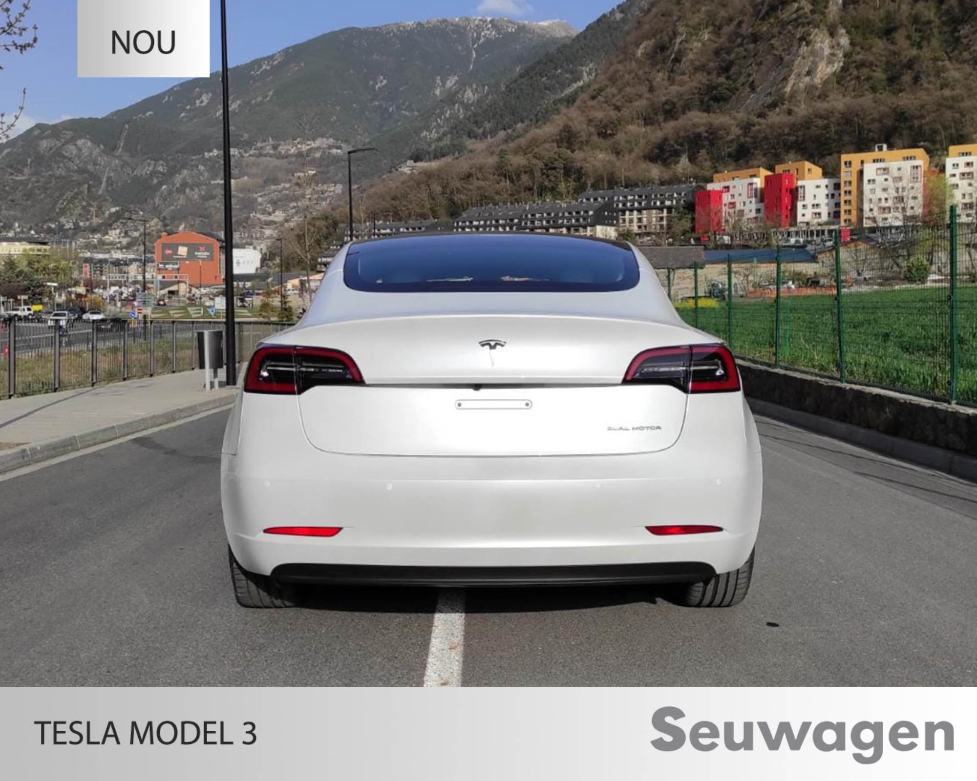 Tesla Model 3 standard range renting