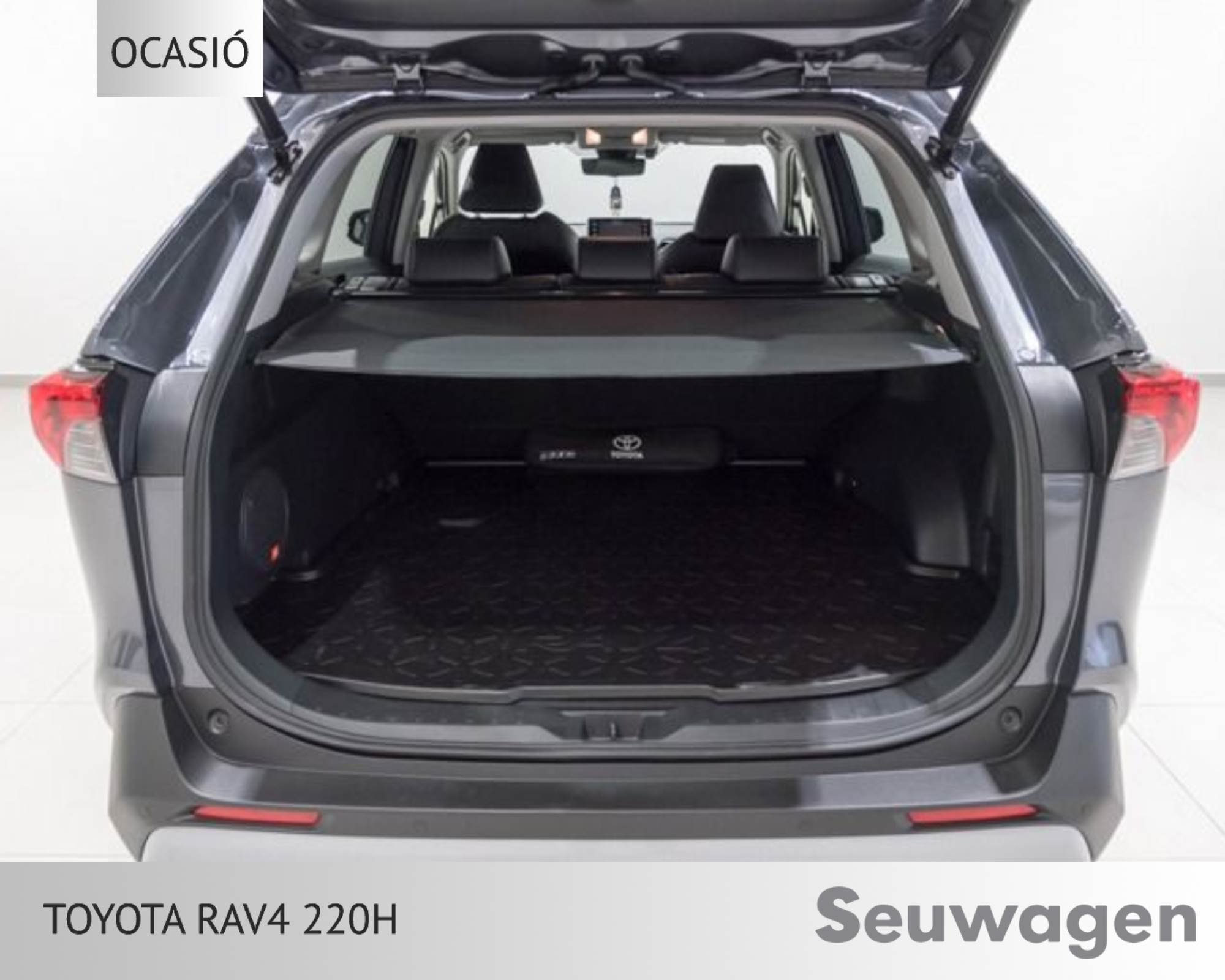 Toyota RAV 4 H220 Luxury