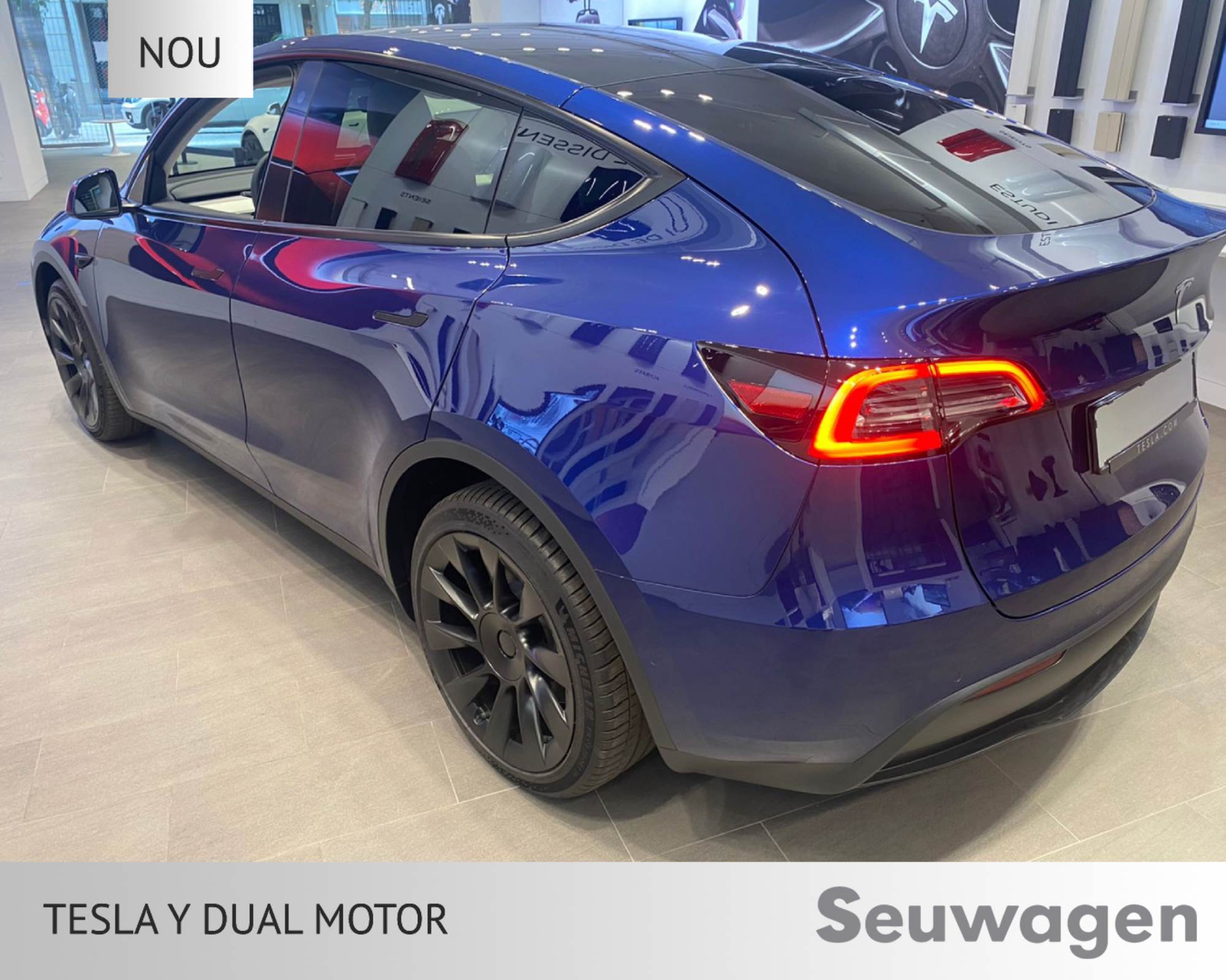 Tesla Model Y DUAL MOTOR renting