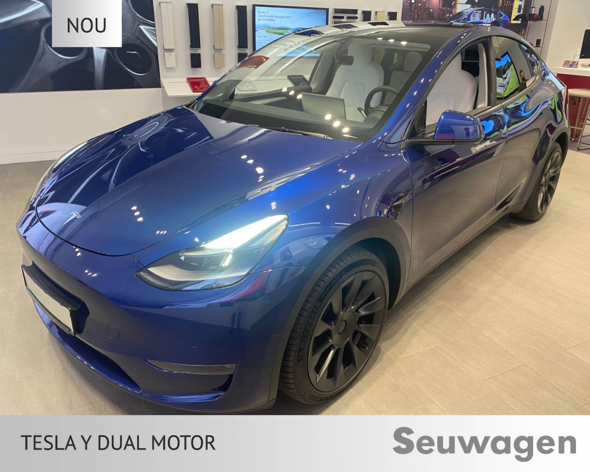 Tesla Model Y DUAL MOTOR renting