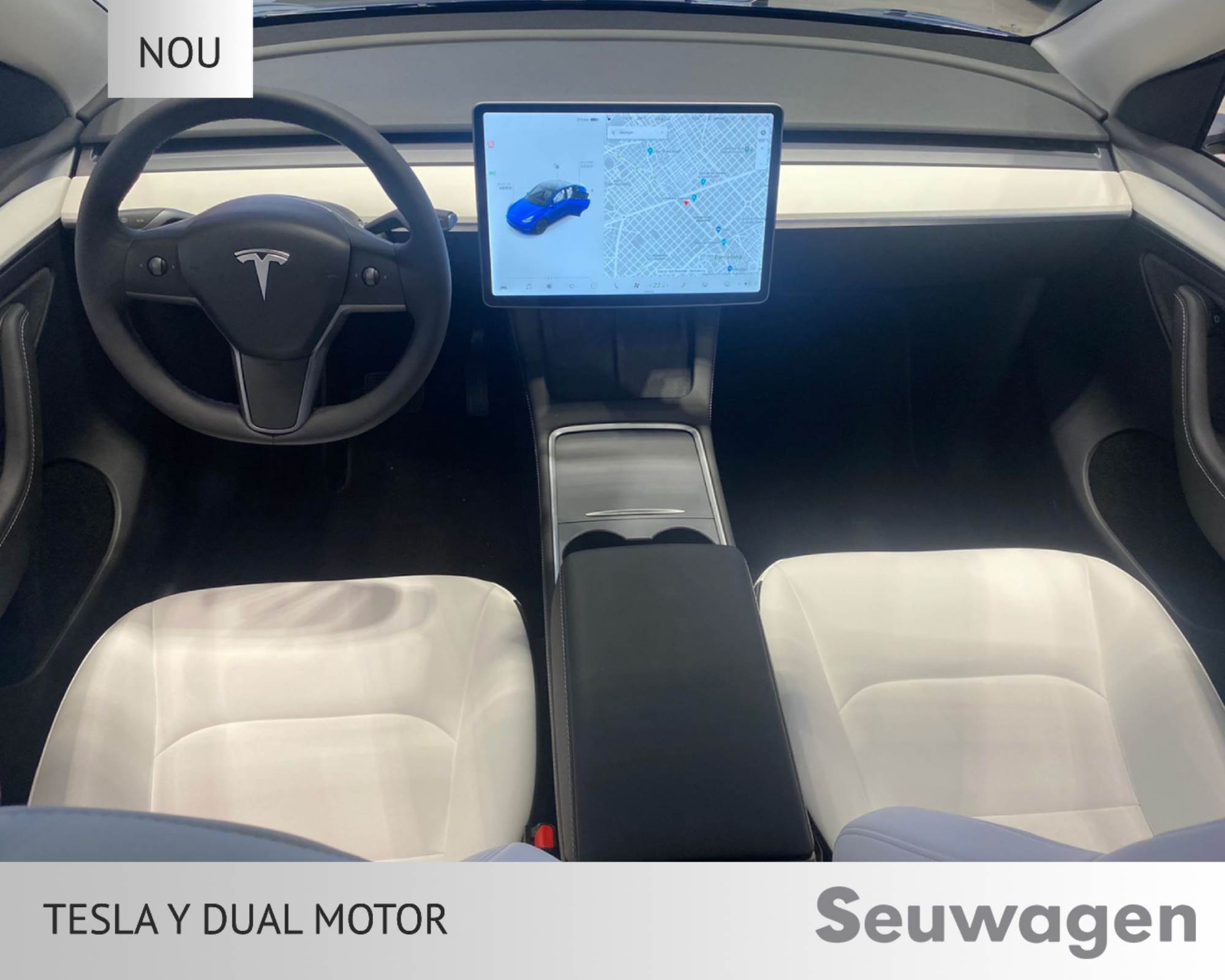 Tesla Model Y DUAL MOTOR renting