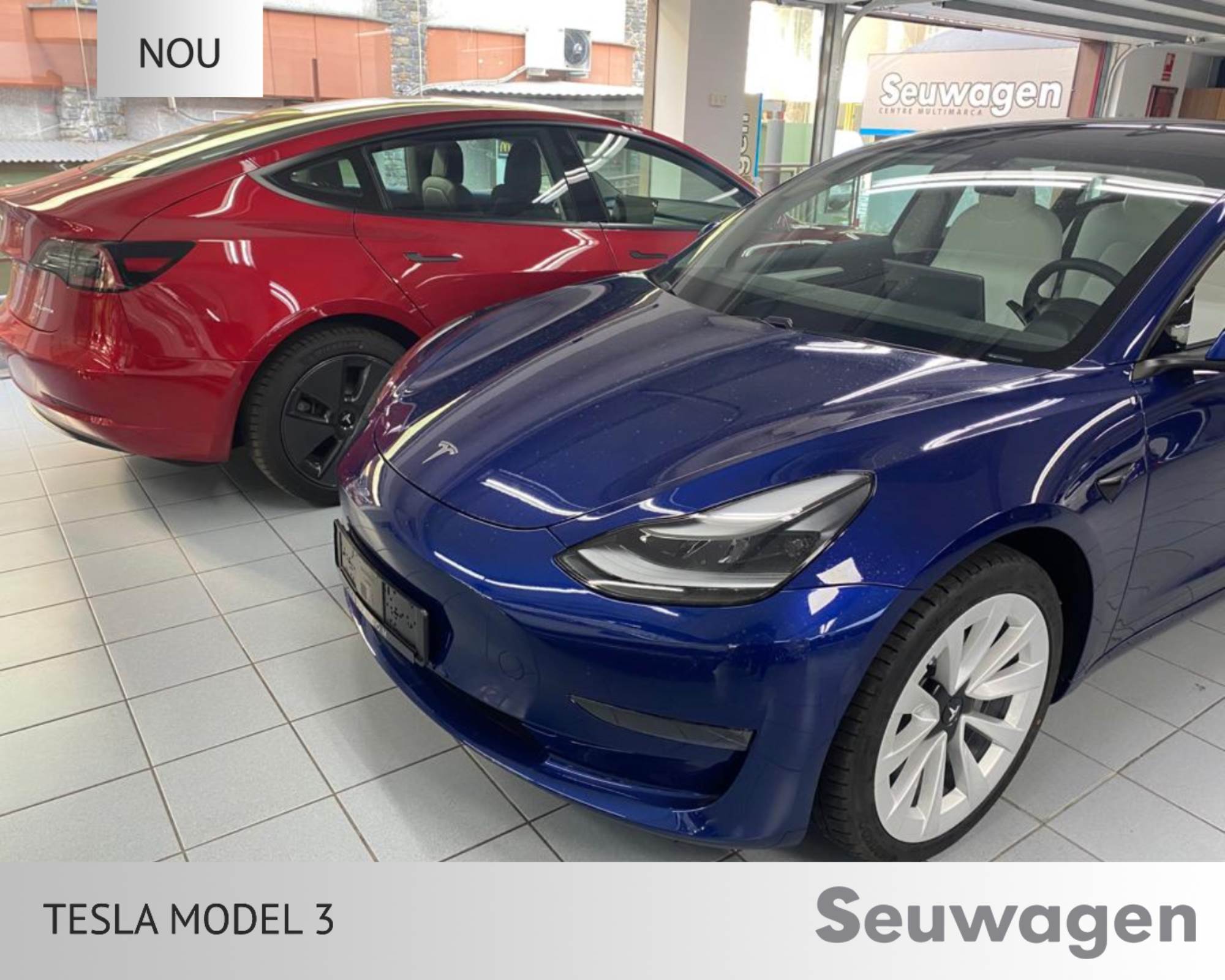 Tesla Model 3 renting