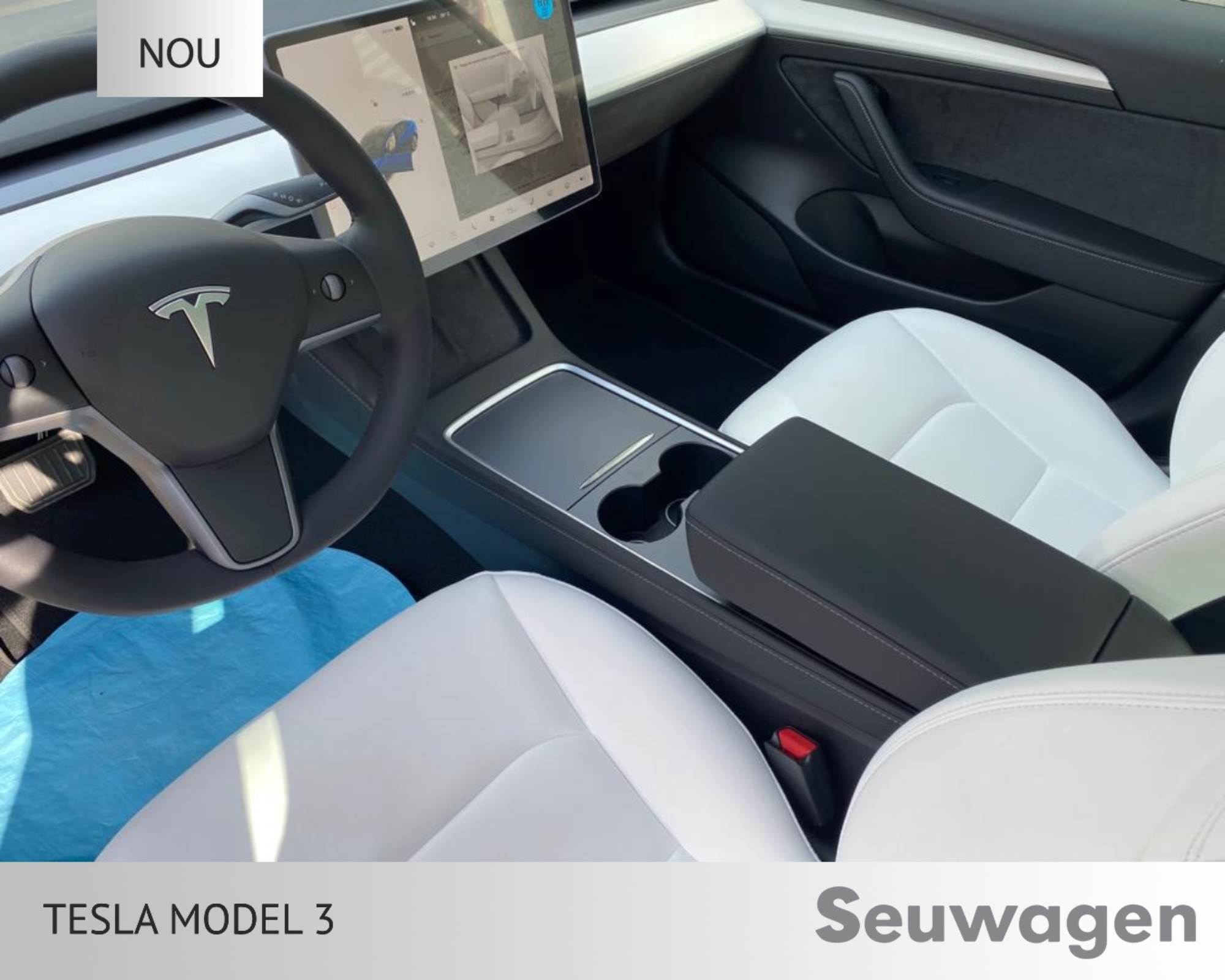 Tesla Model 3 renting
