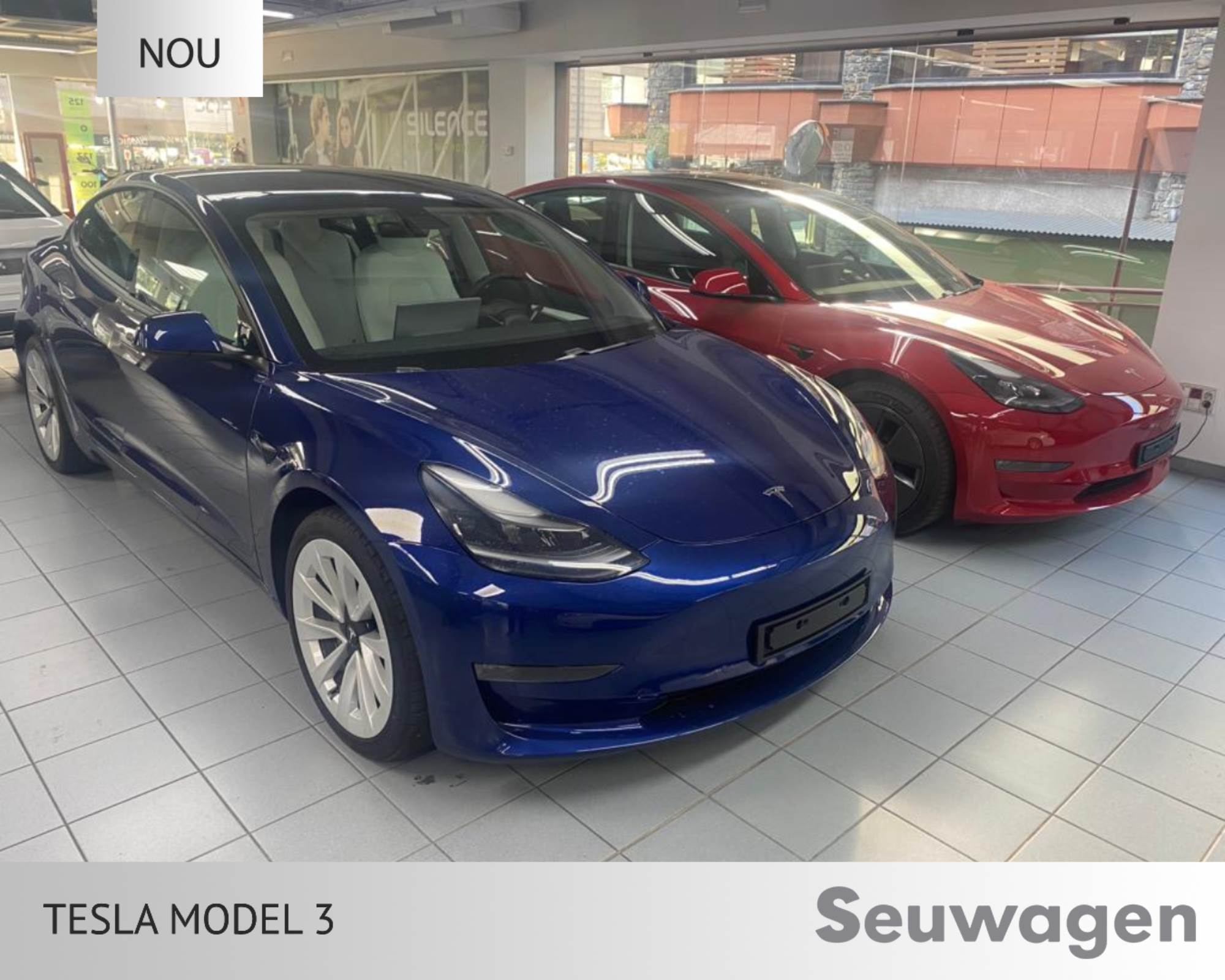 Tesla Model 3 renting