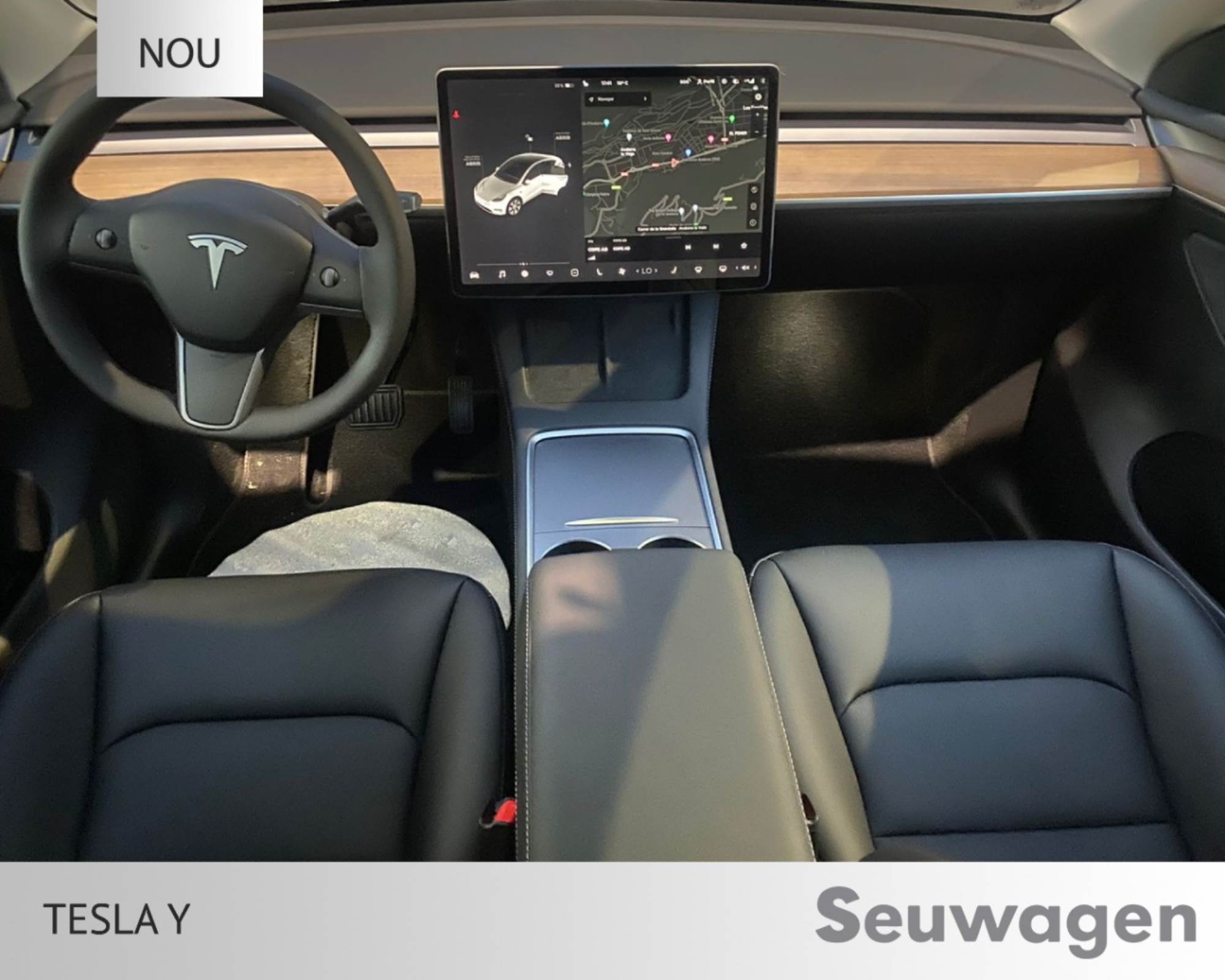 Tesla Model Y renting