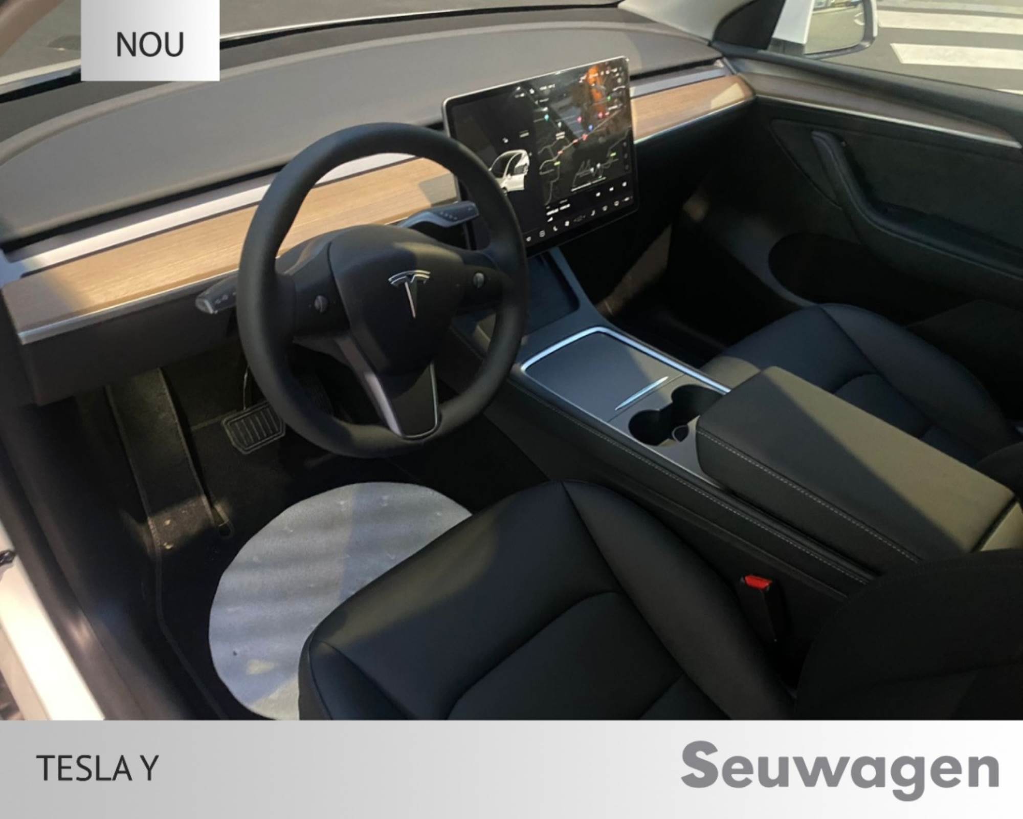Tesla Model Y renting