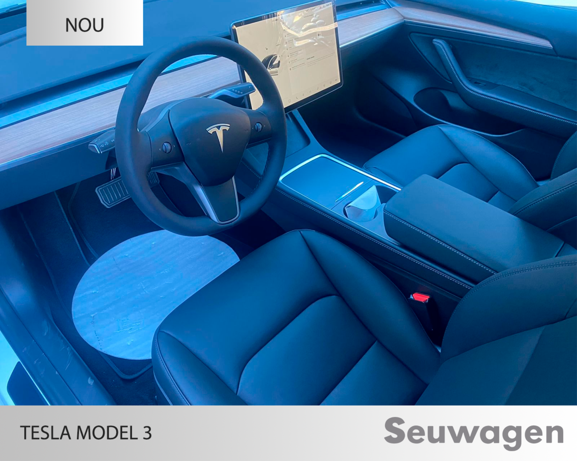 Tesla Model 3 renting