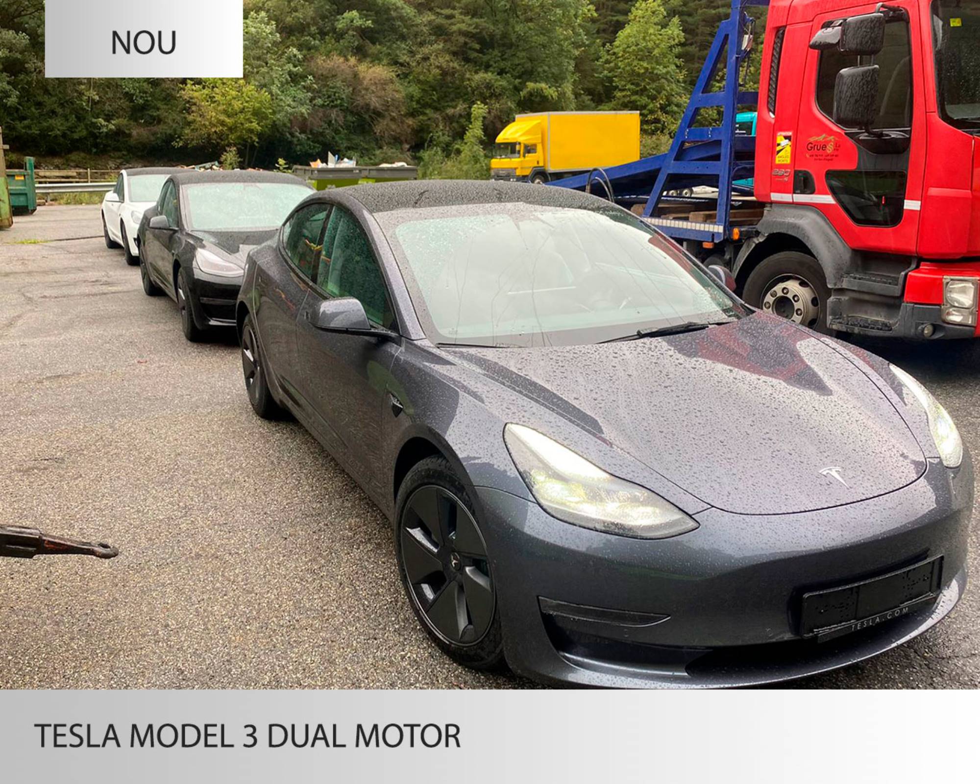 Tesla Model 3 Dual Motor