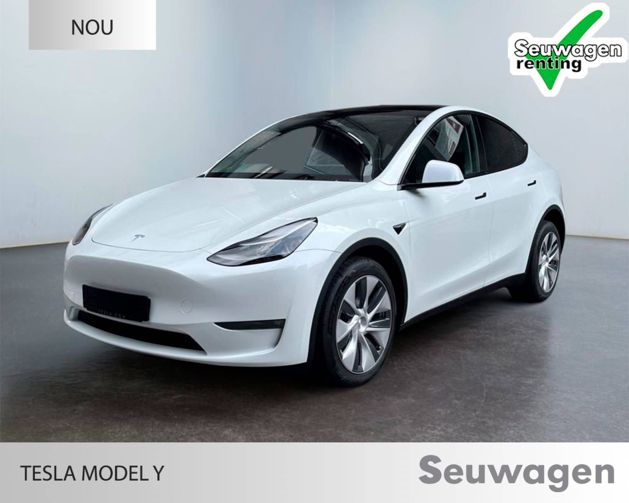 Tesla Model Y Dual Motor