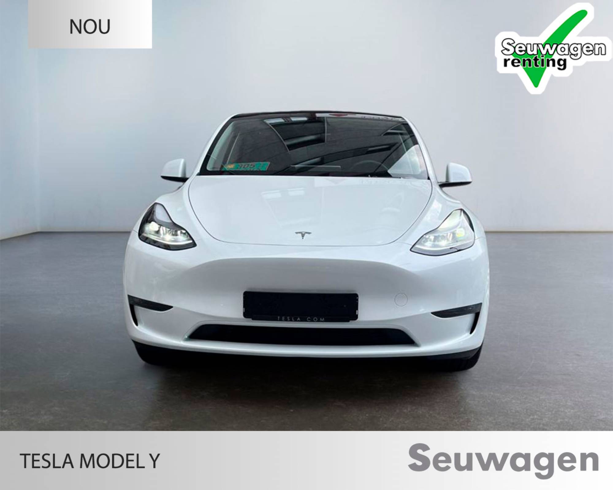 Tesla Model Y Dual Motor