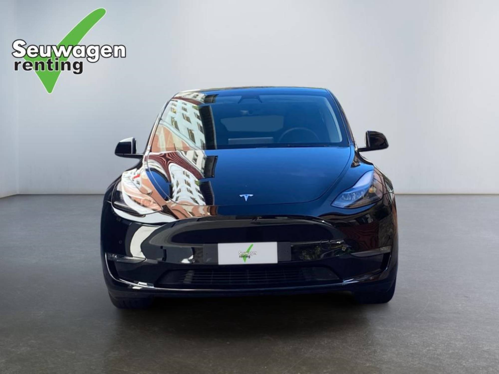 Tesla Model Y Dual motor