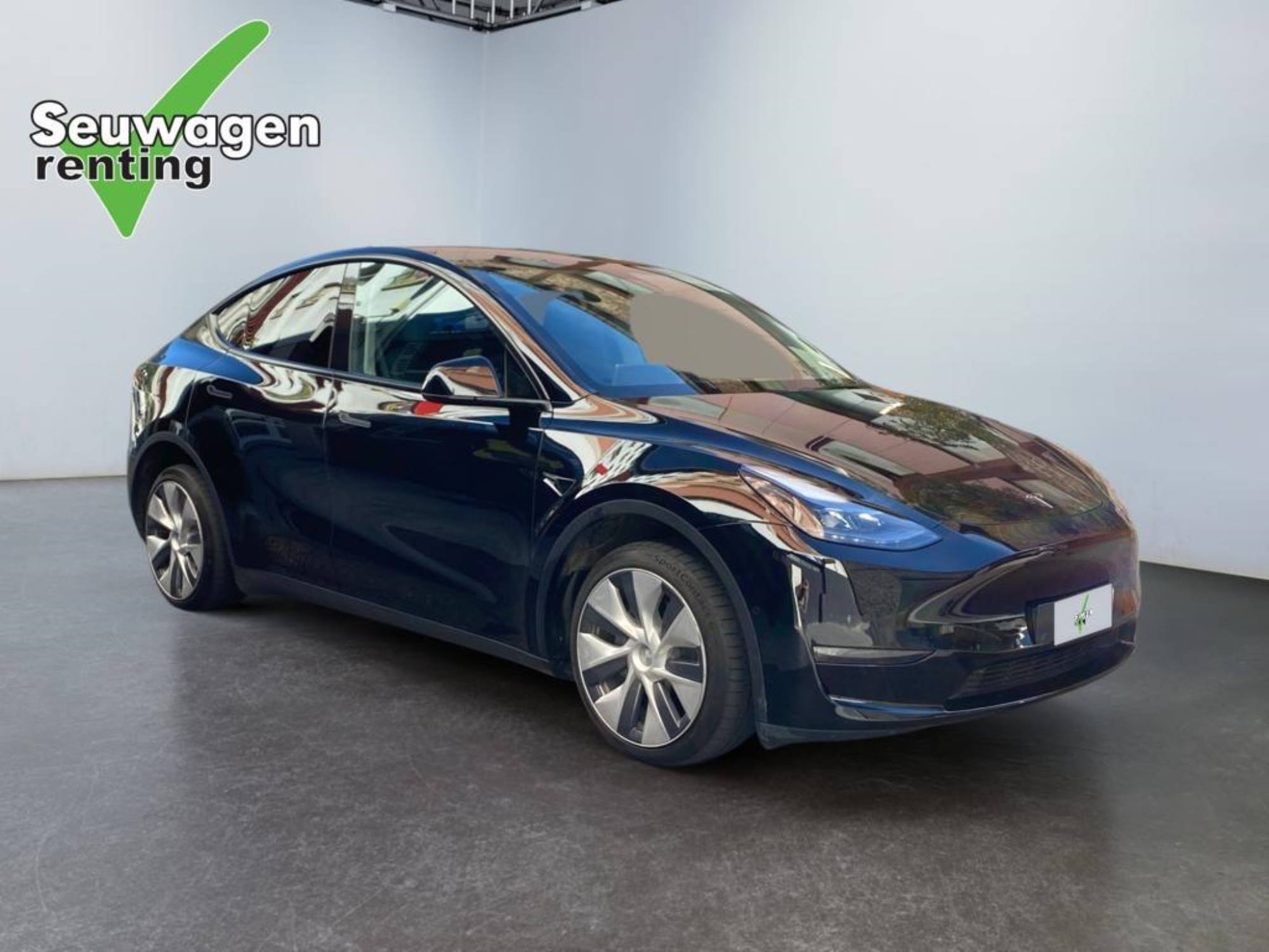 Tesla Model Y Dual motor