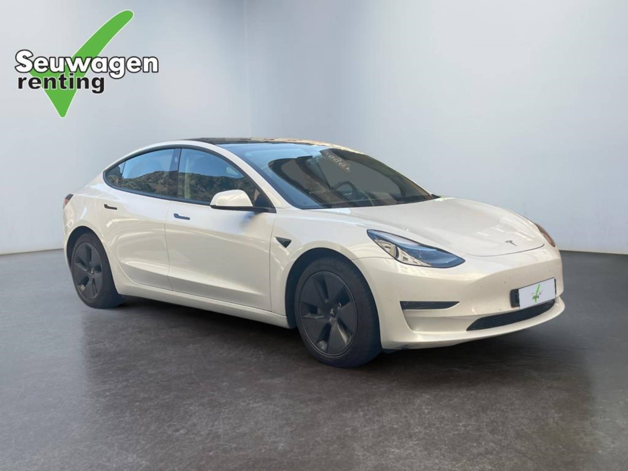 Tesla Model 3 Standard Range