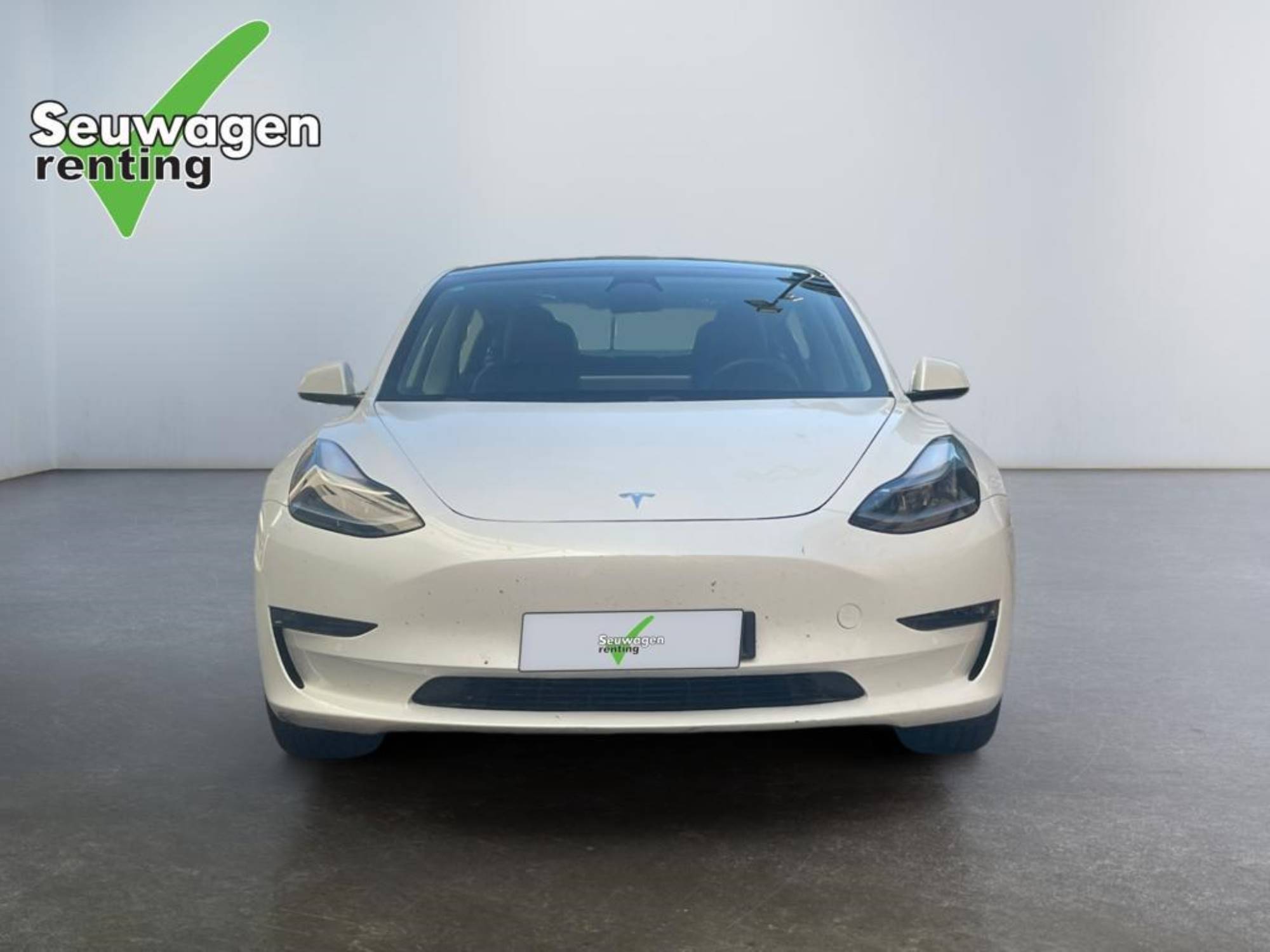 Tesla Model 3 Standard Range