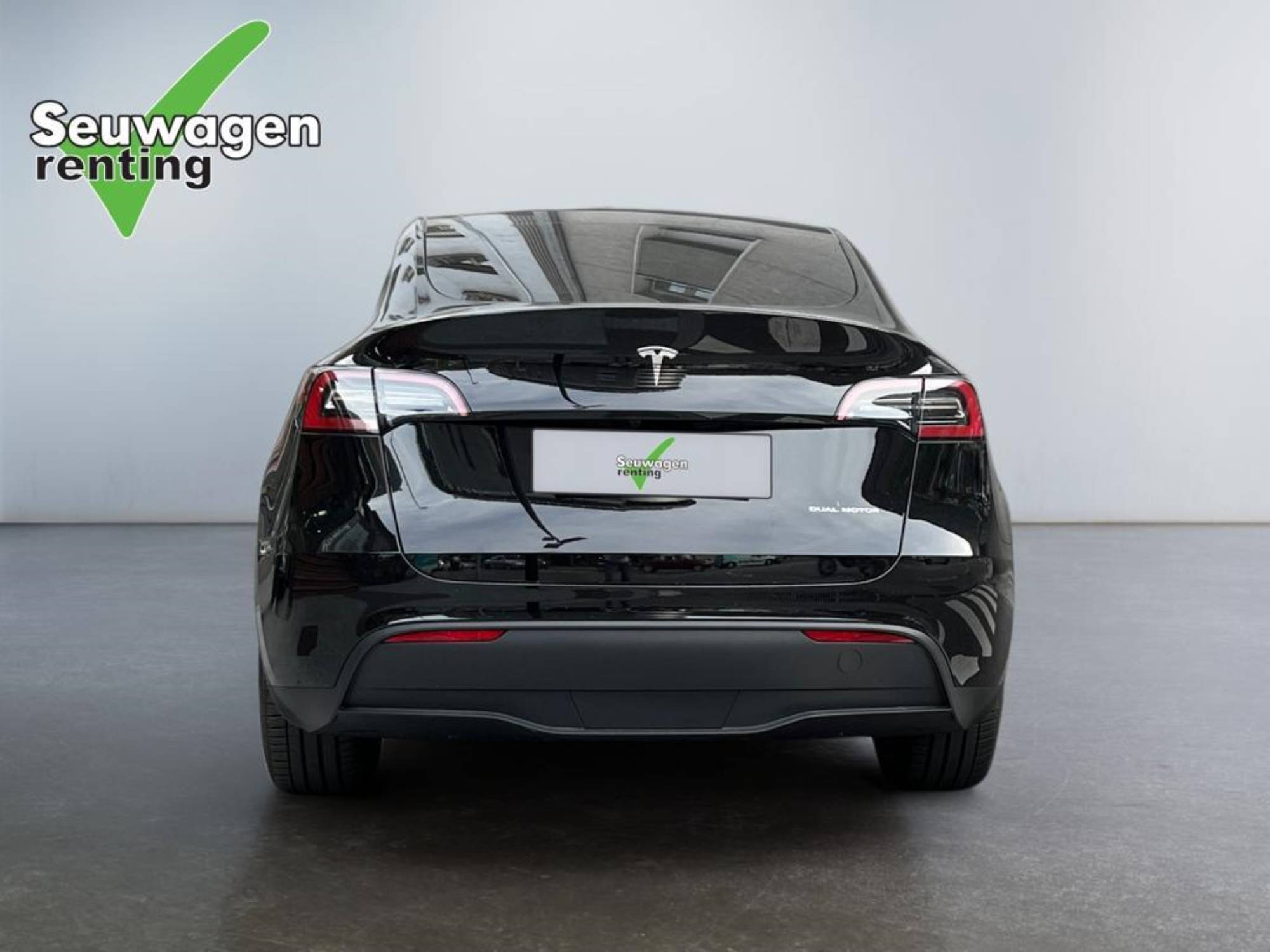 Tesla Model Y Dual Motor