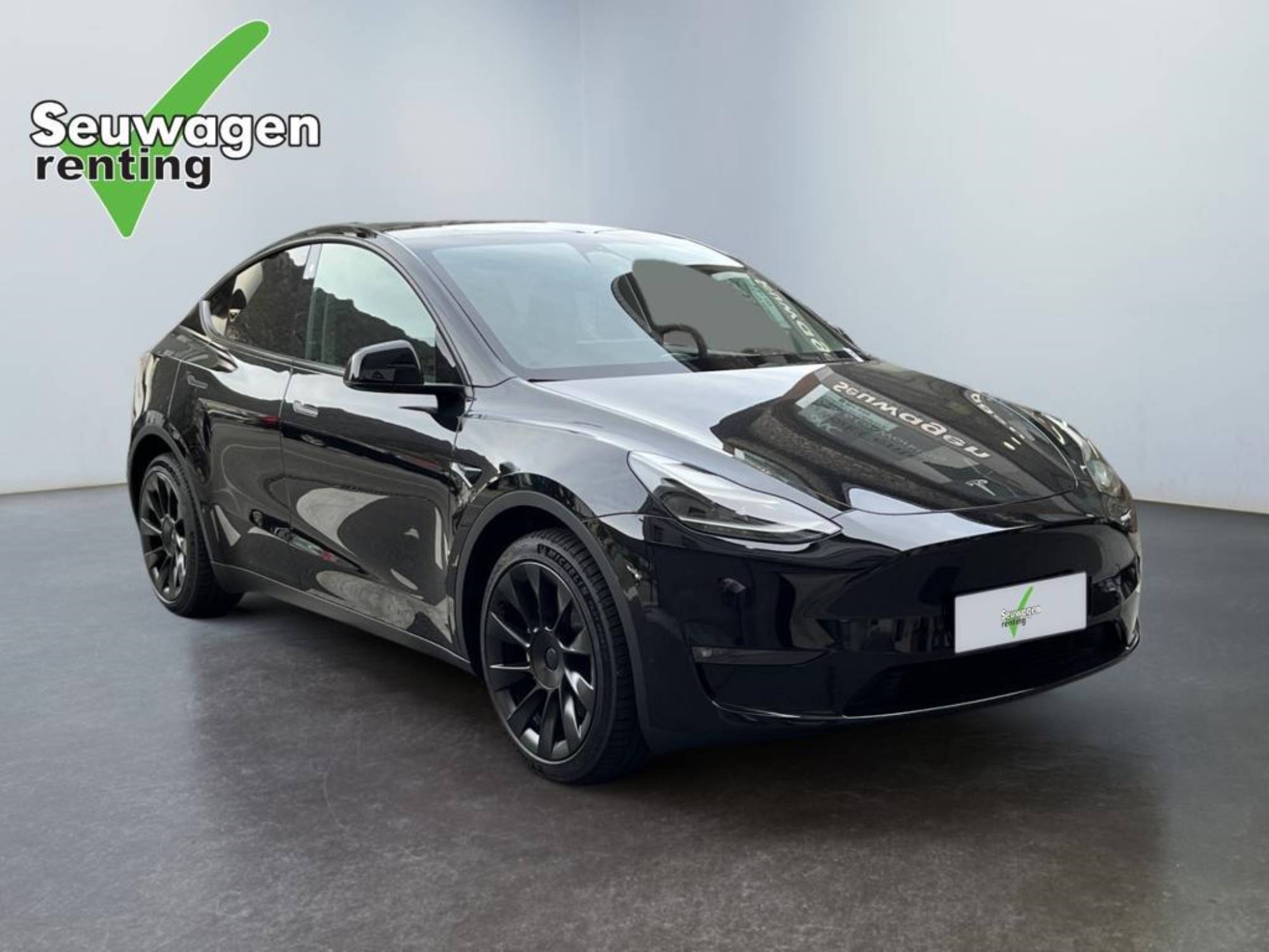 Tesla Model Y Dual Motor