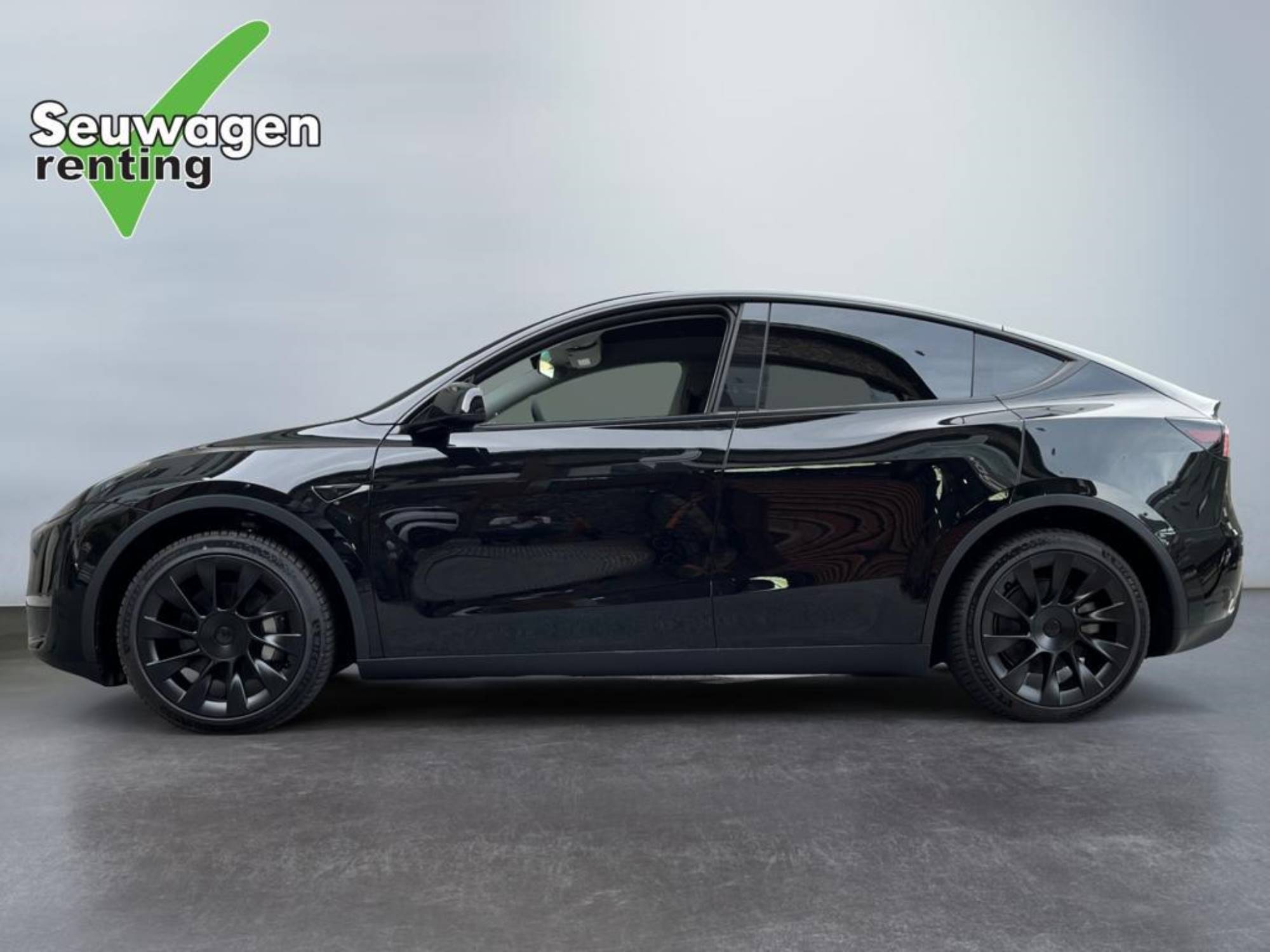 Tesla Model Y Dual Motor