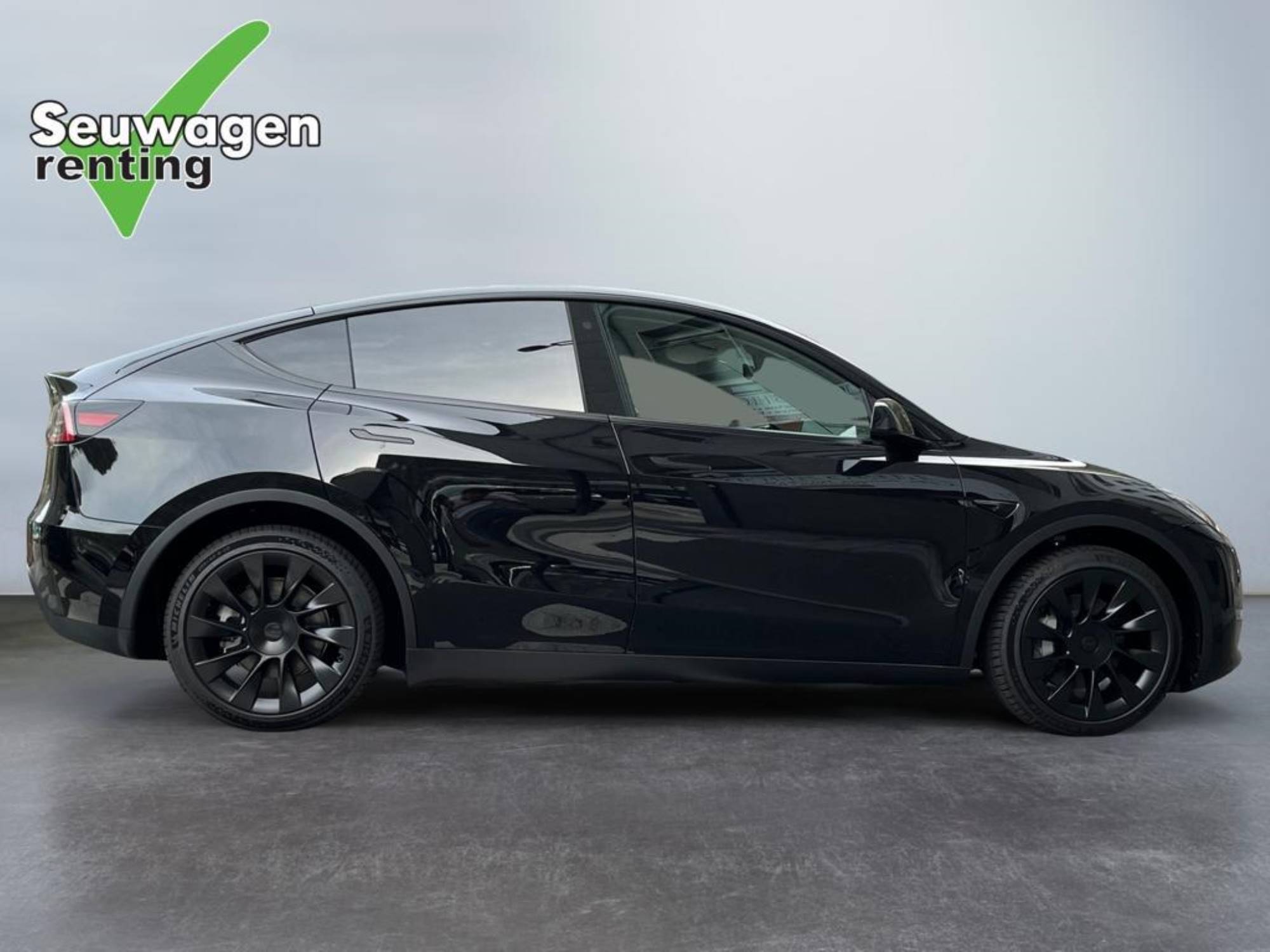 Tesla Model Y Dual Motor