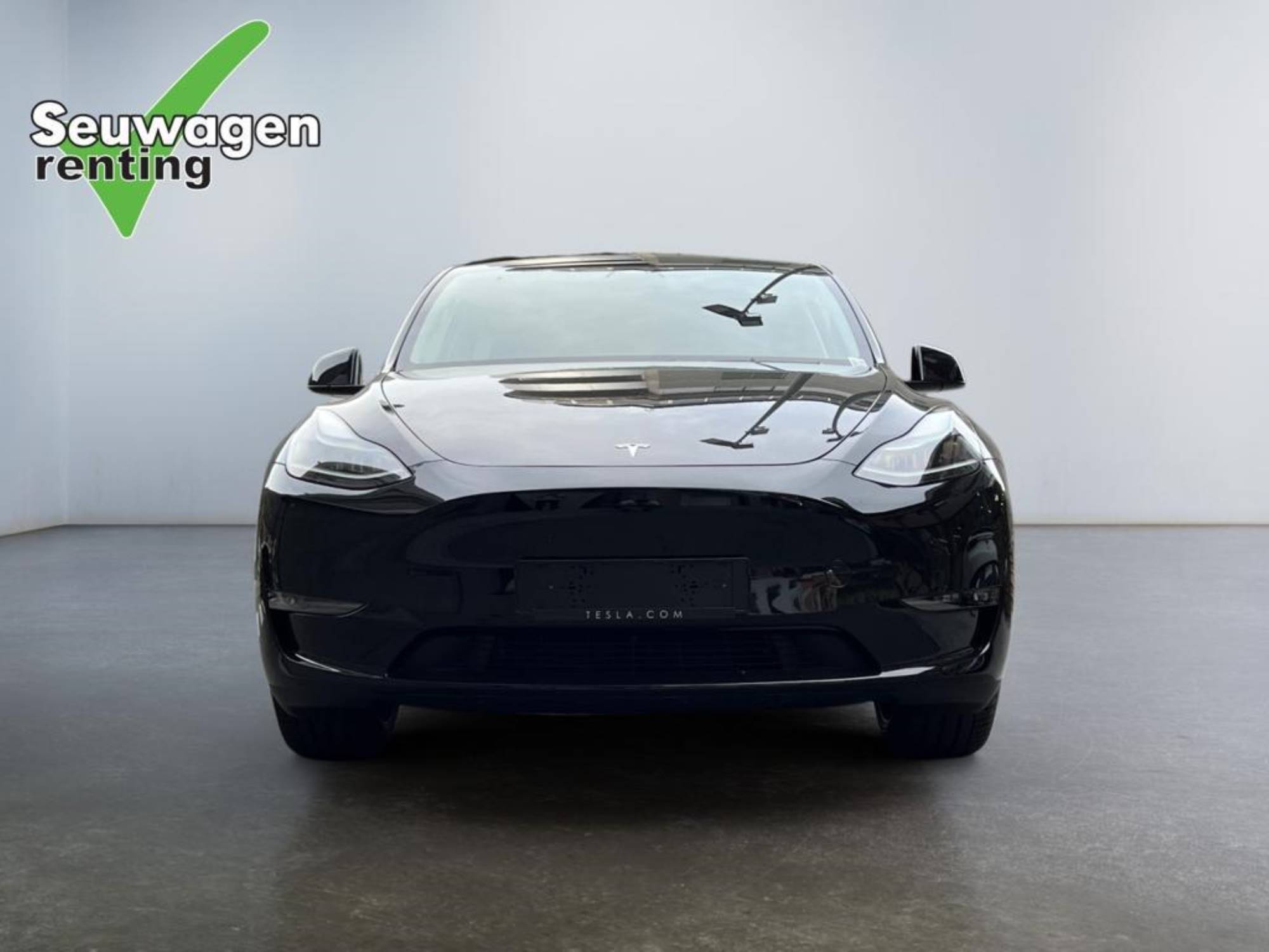 Tesla Model Y Dual Motor