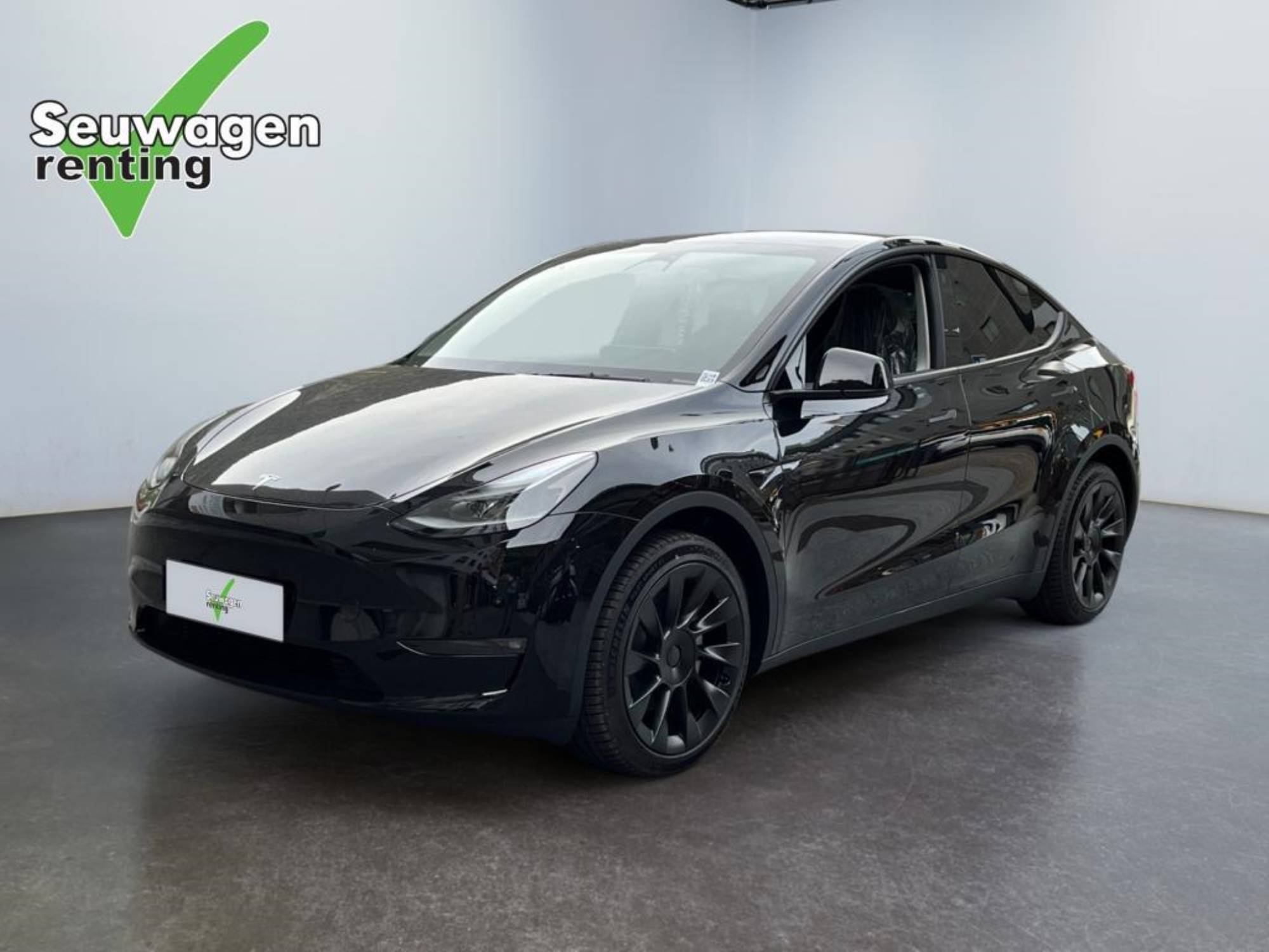 Tesla Model Y Dual Motor