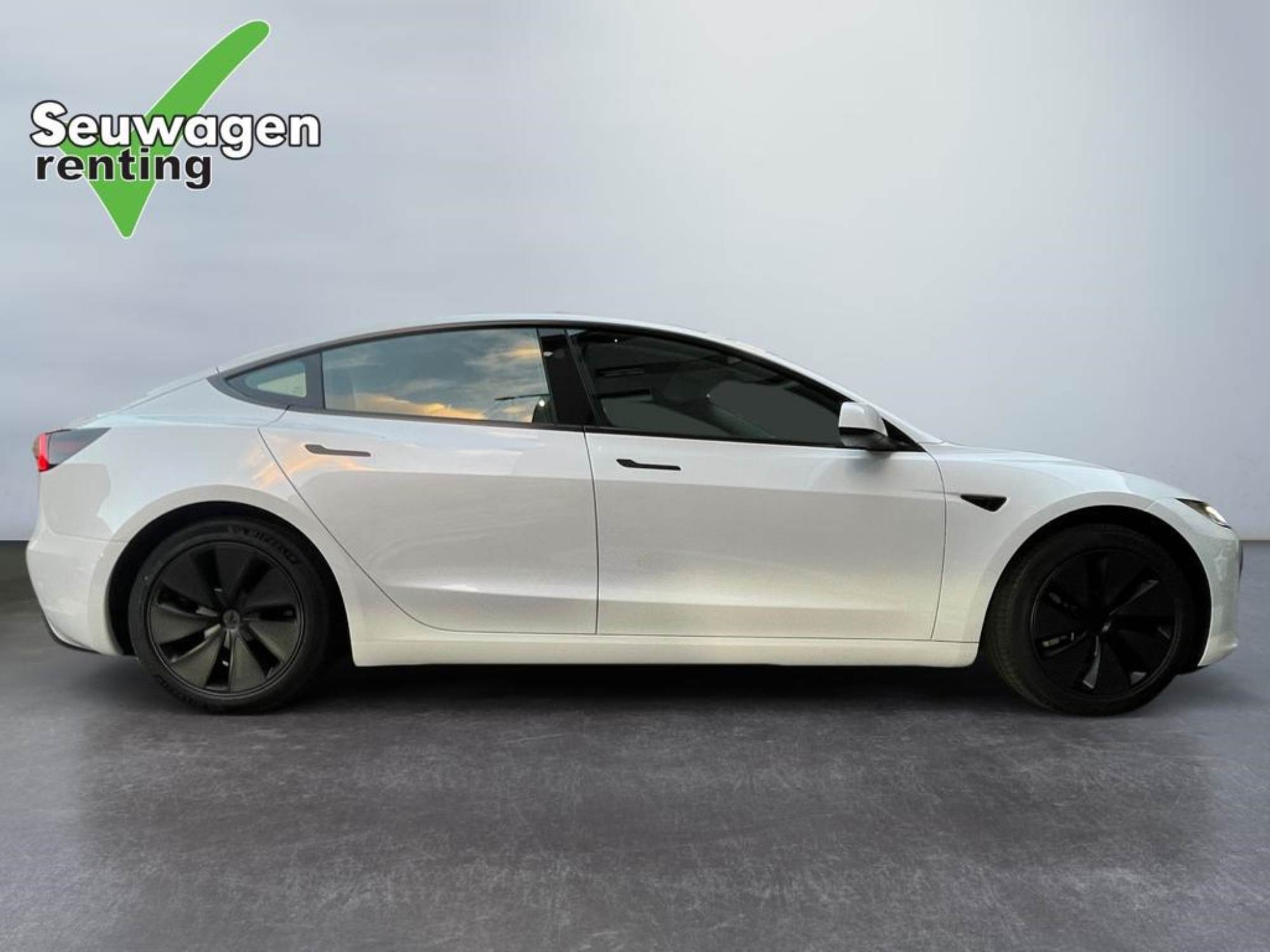 Tesla Model 3 Standard Range