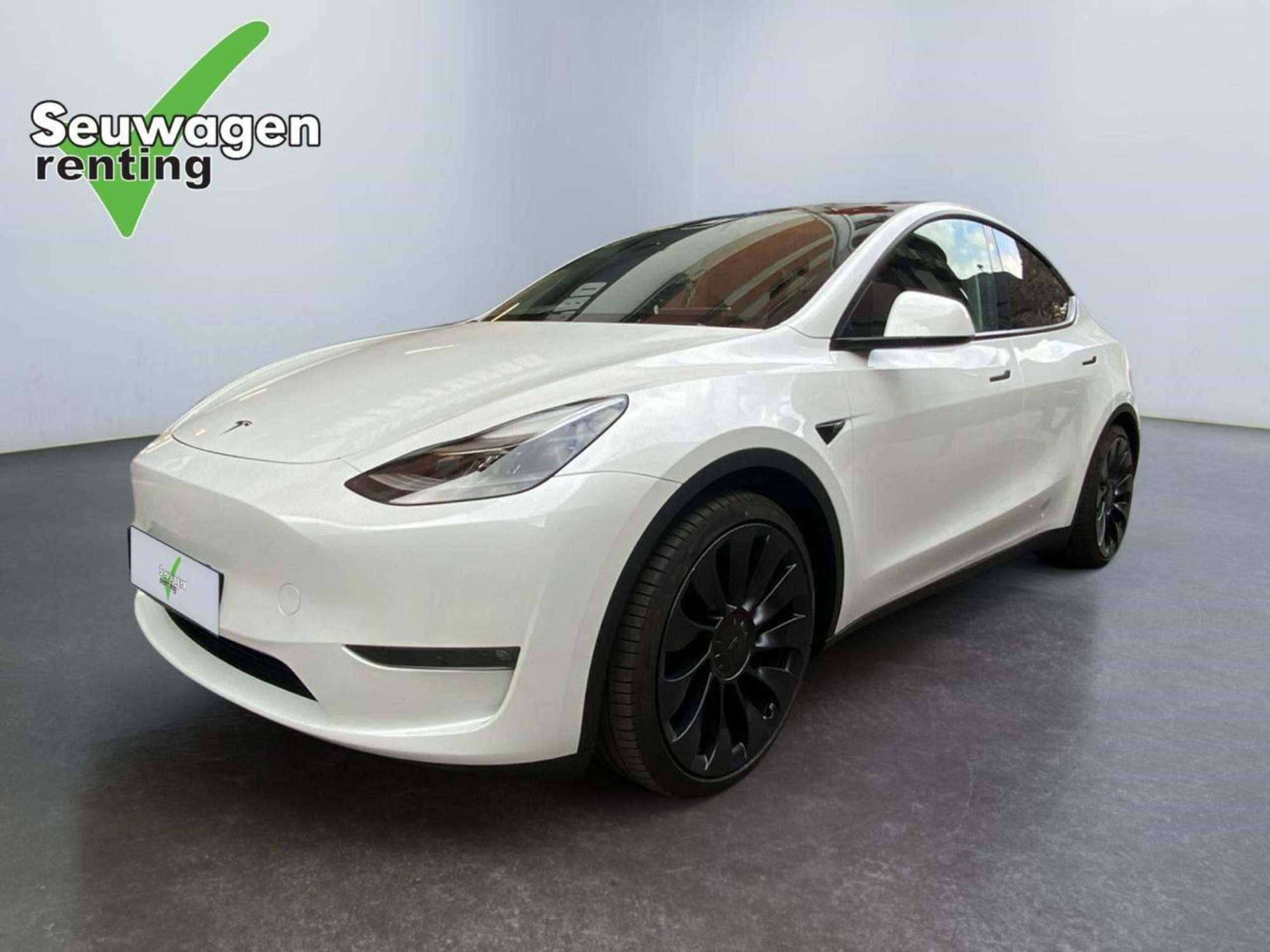 Tesla Model Y Performance 