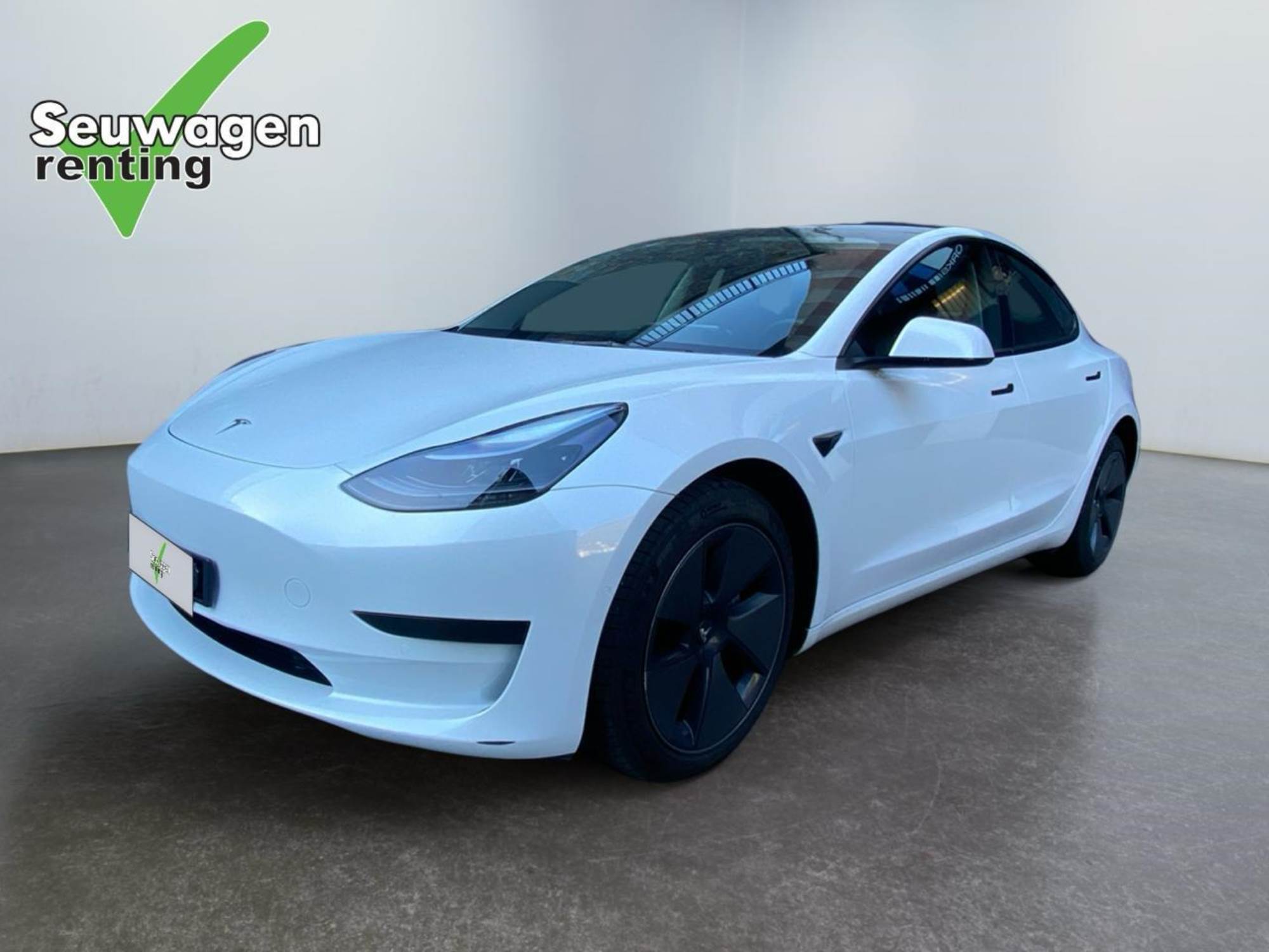 Tesla Model 3 Standard Range