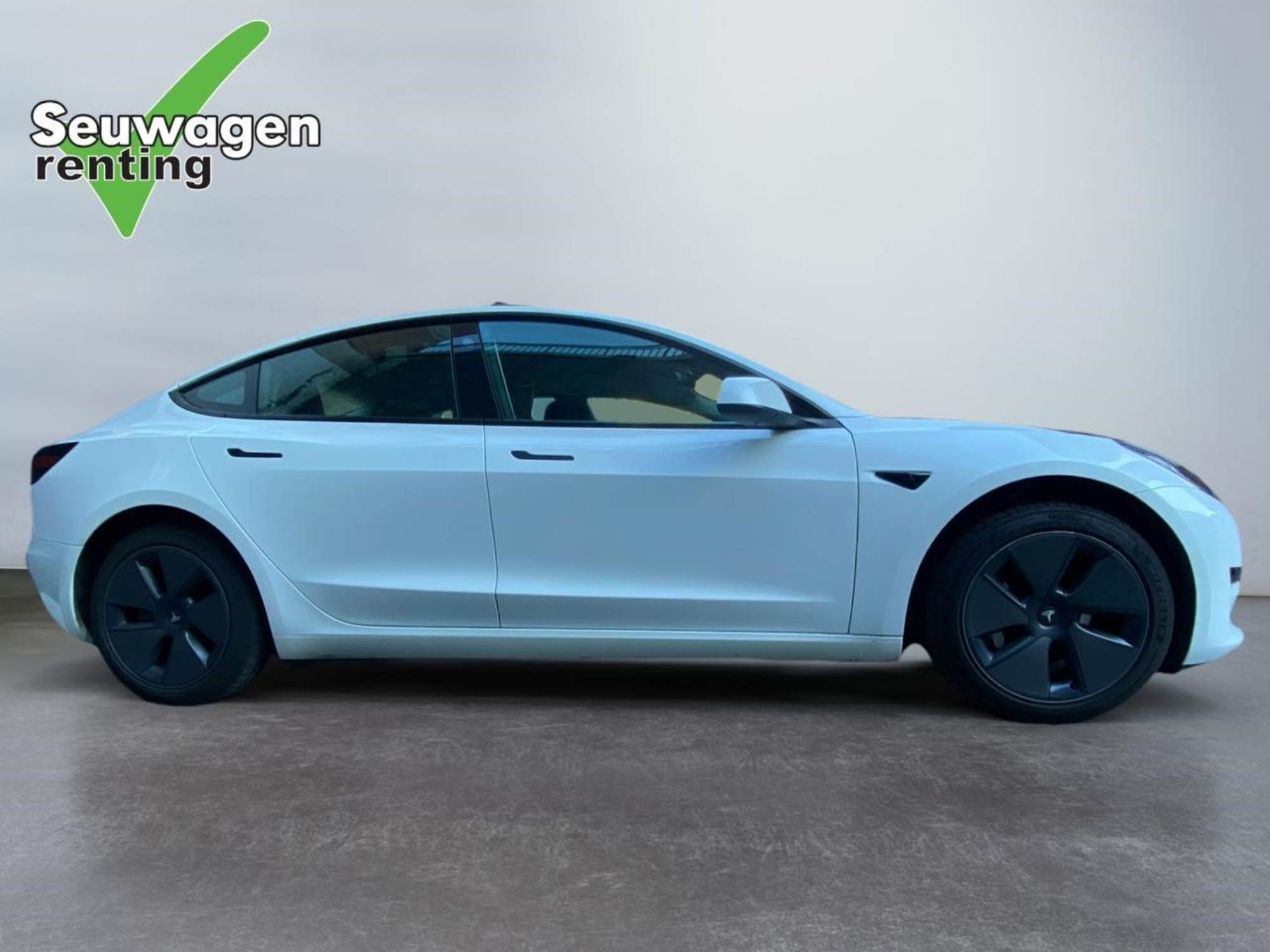 Tesla Model 3 Standard Range
