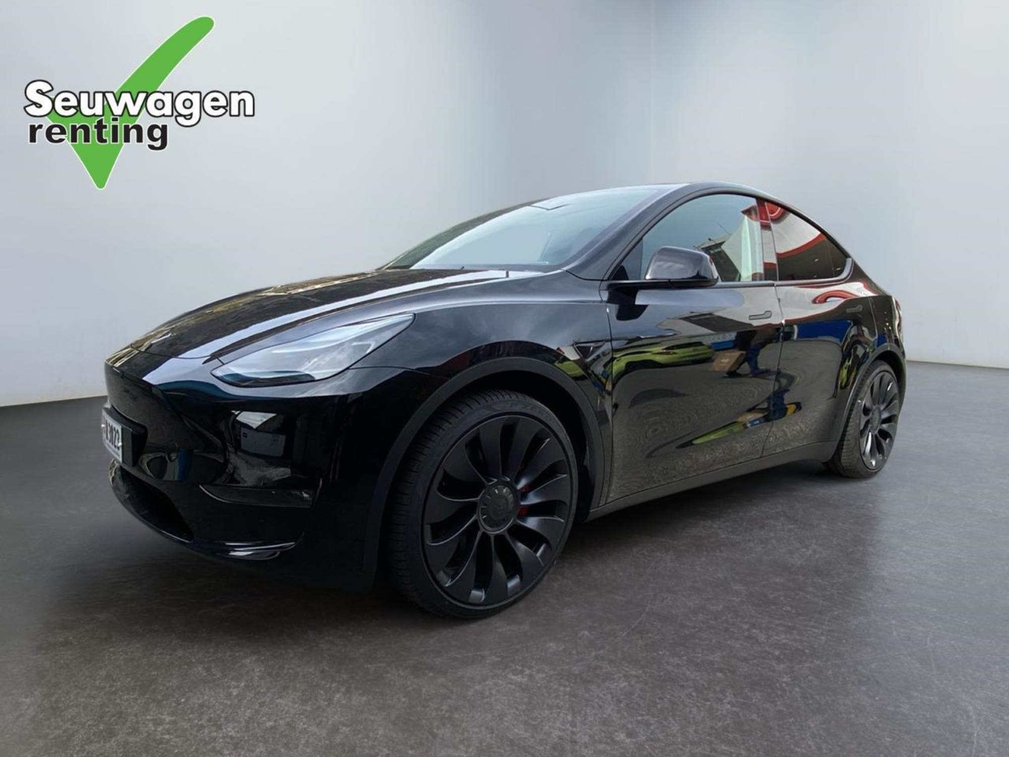 Tesla Model Y Performance