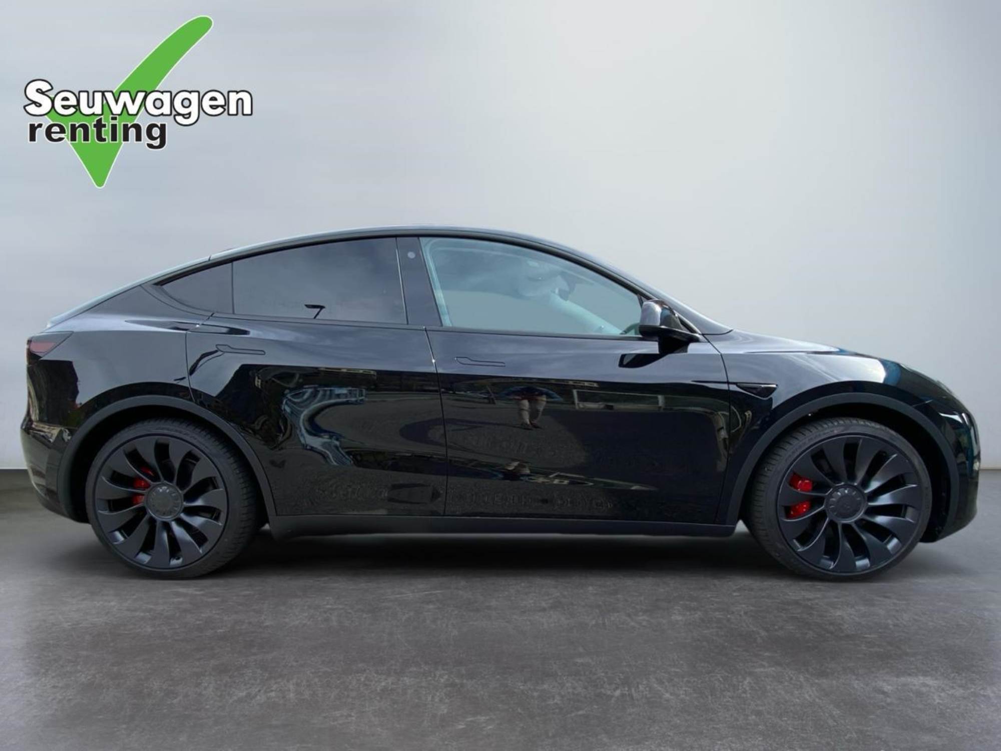 Tesla Model Y Performance