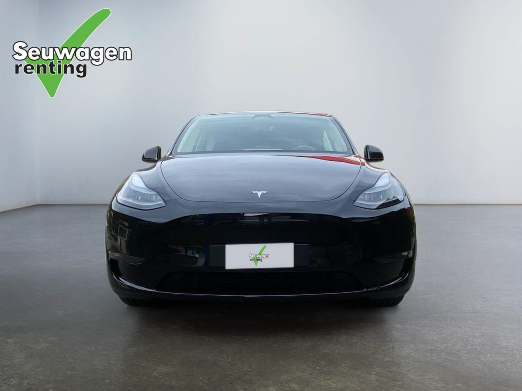 Tesla Model Y Performance