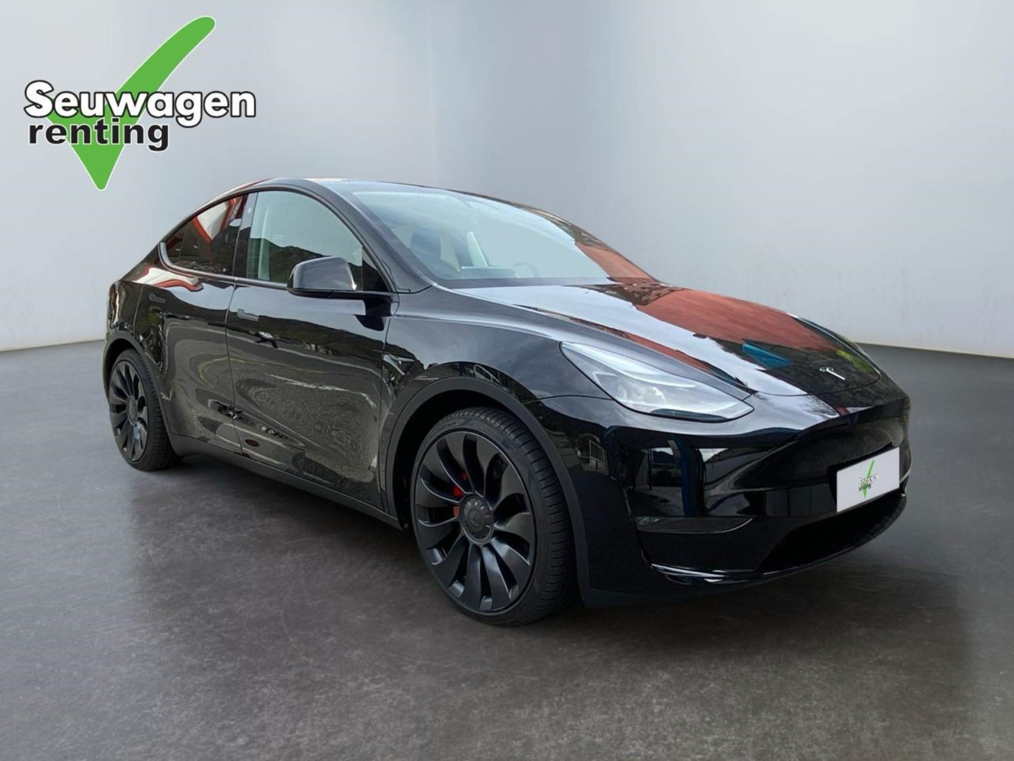 Tesla Model Y Performance