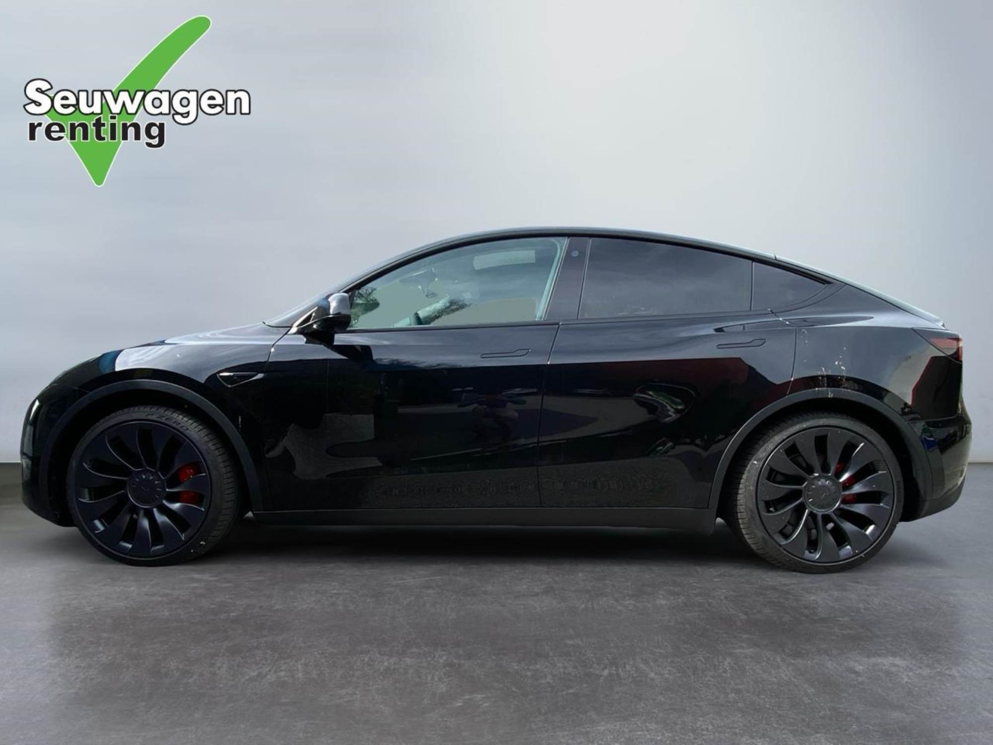 Tesla Model Y Performance