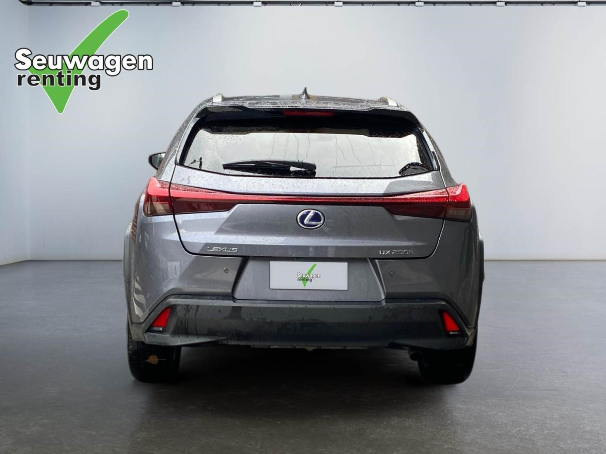 Lexus UX 250h 