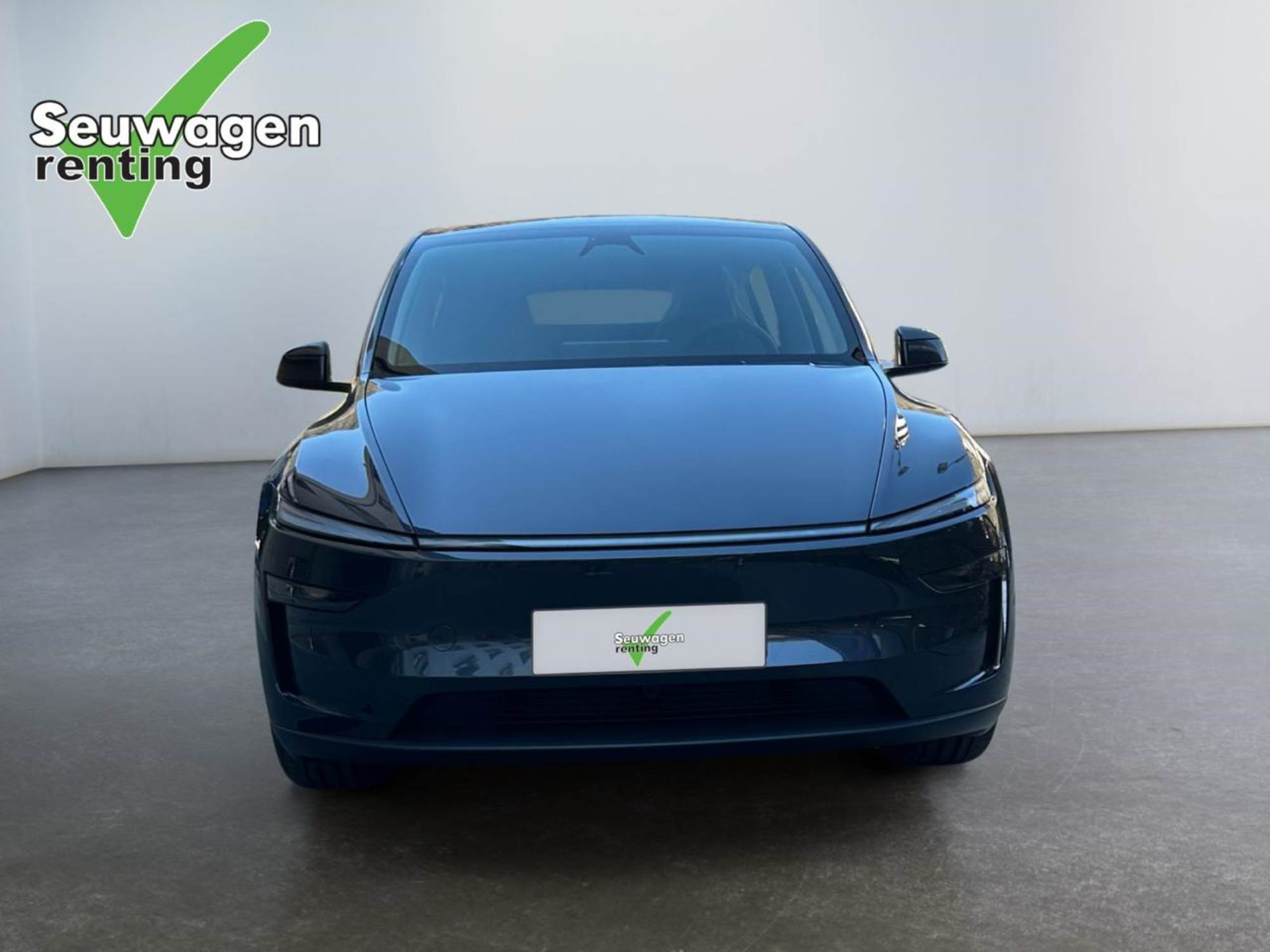 Tesla Model Y Pla de engega