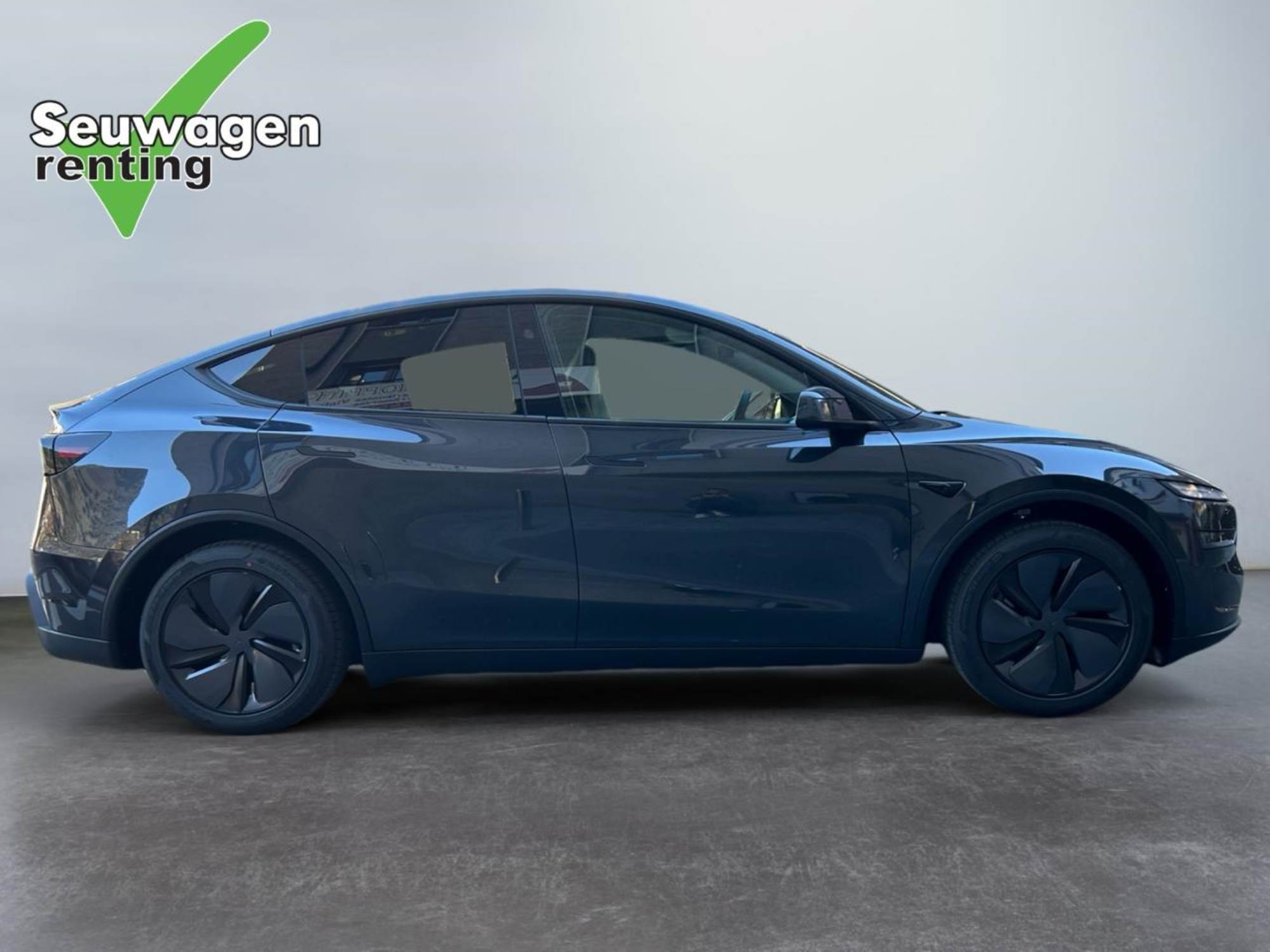 Tesla Model Y Pla de engega