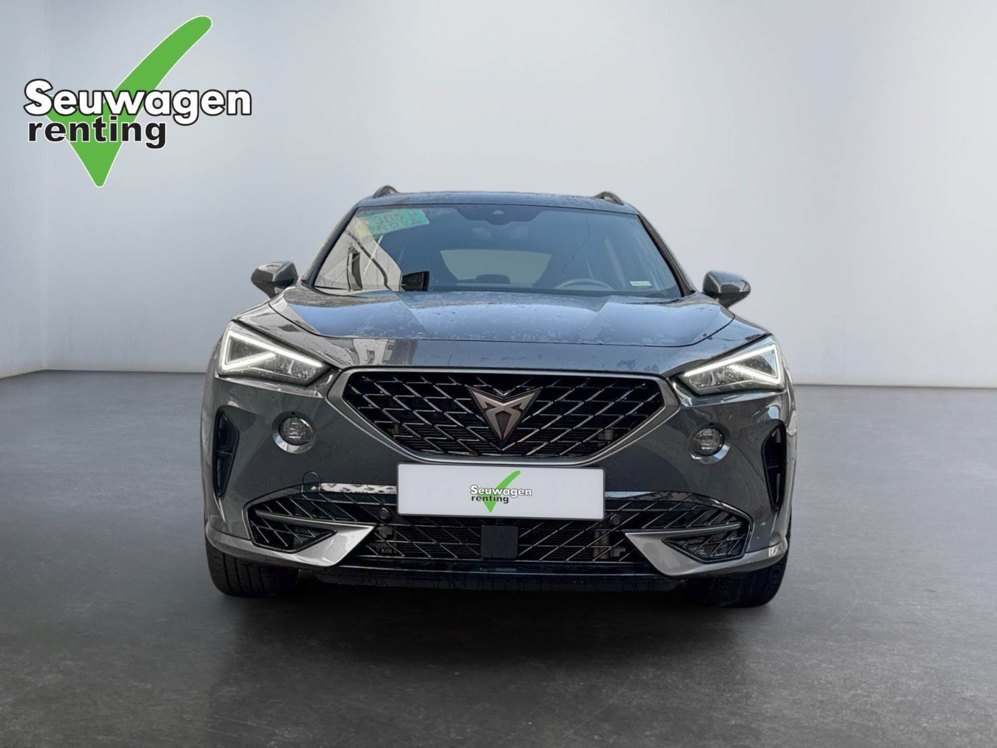 Cupra Formentor VZ 300 Cv 