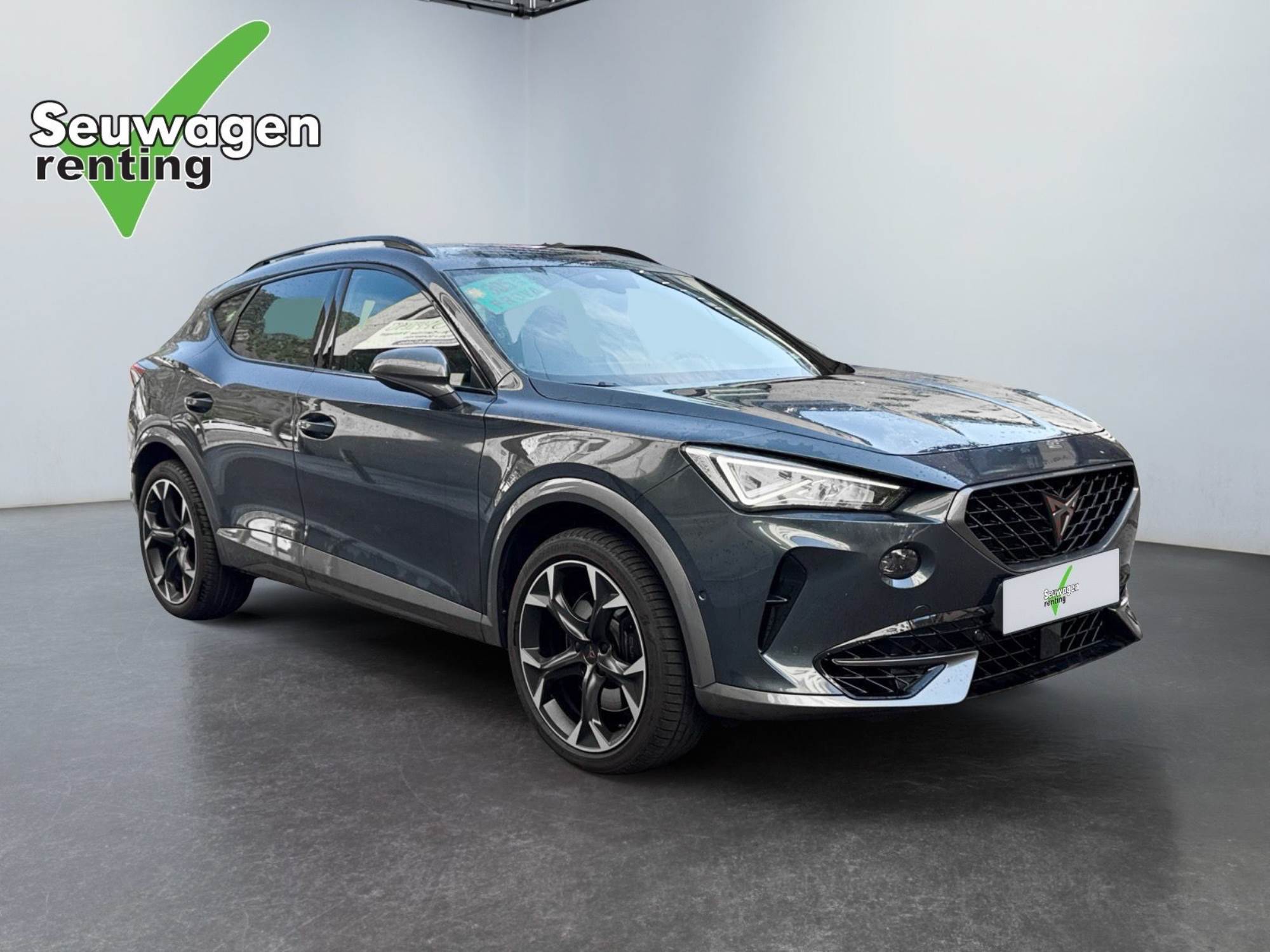 Cupra Formentor VZ 300 Cv 