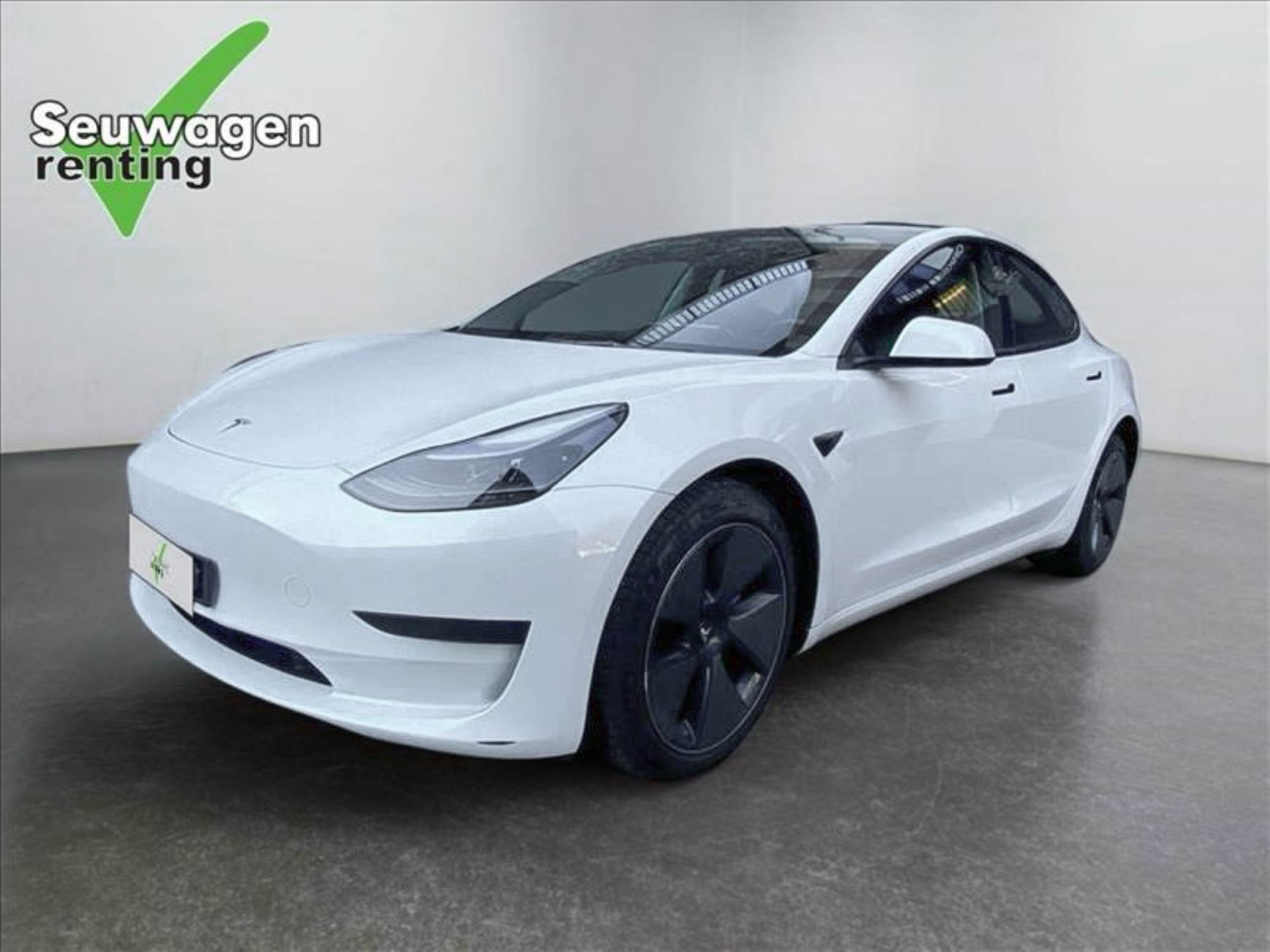 Tesla Model 3 497 CV