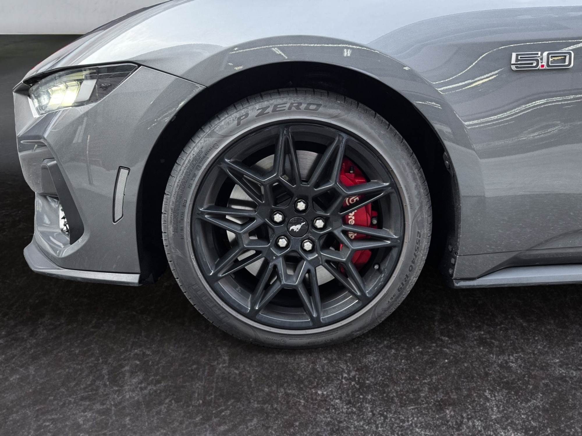 Ford Mustang V8 GT 446 cv