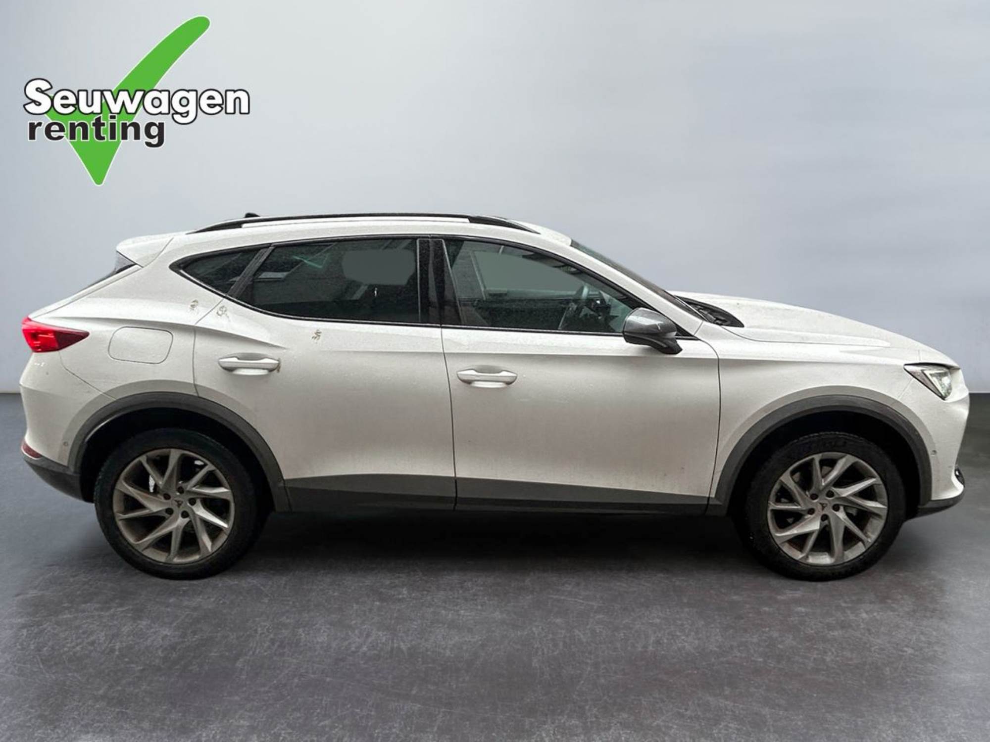 Cupra Formentor 190 CV 4x4