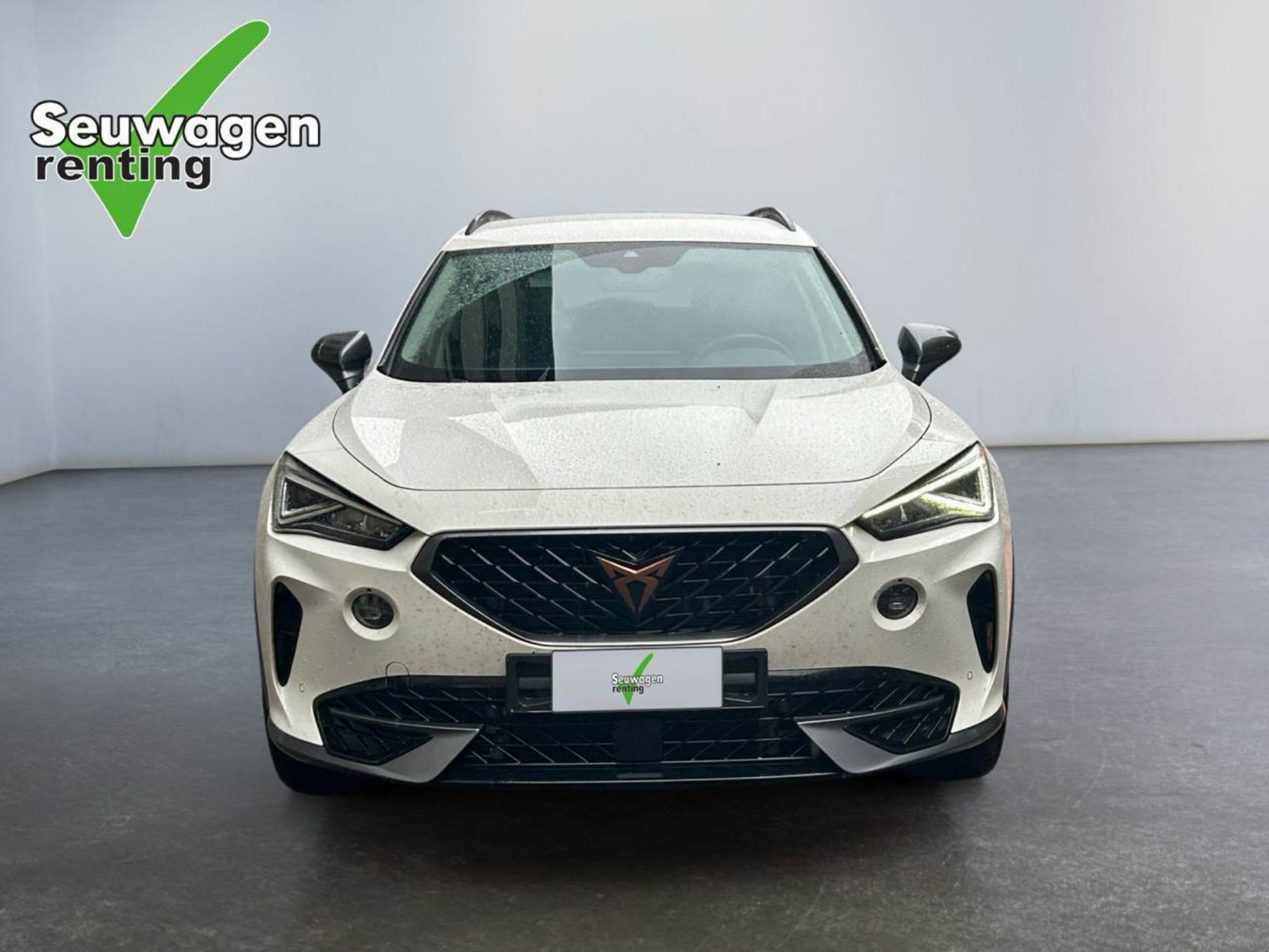 Cupra Formentor 190 CV 4x4