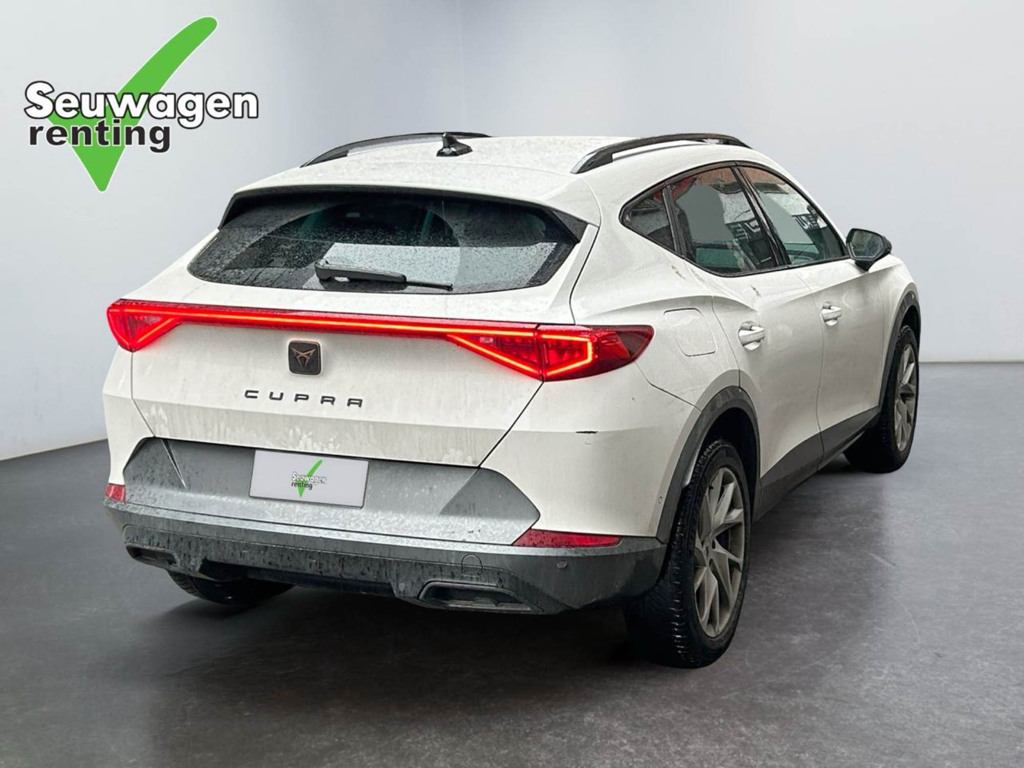 Cupra Formentor 190 CV 4x4