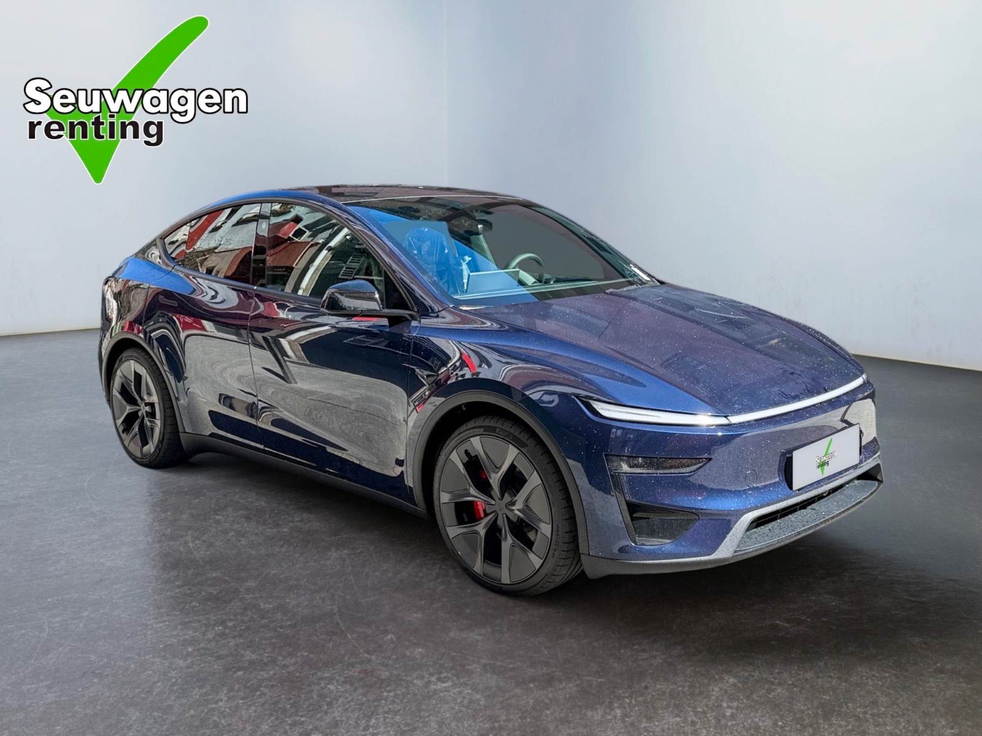 Tesla Model Y Performance 534 CV