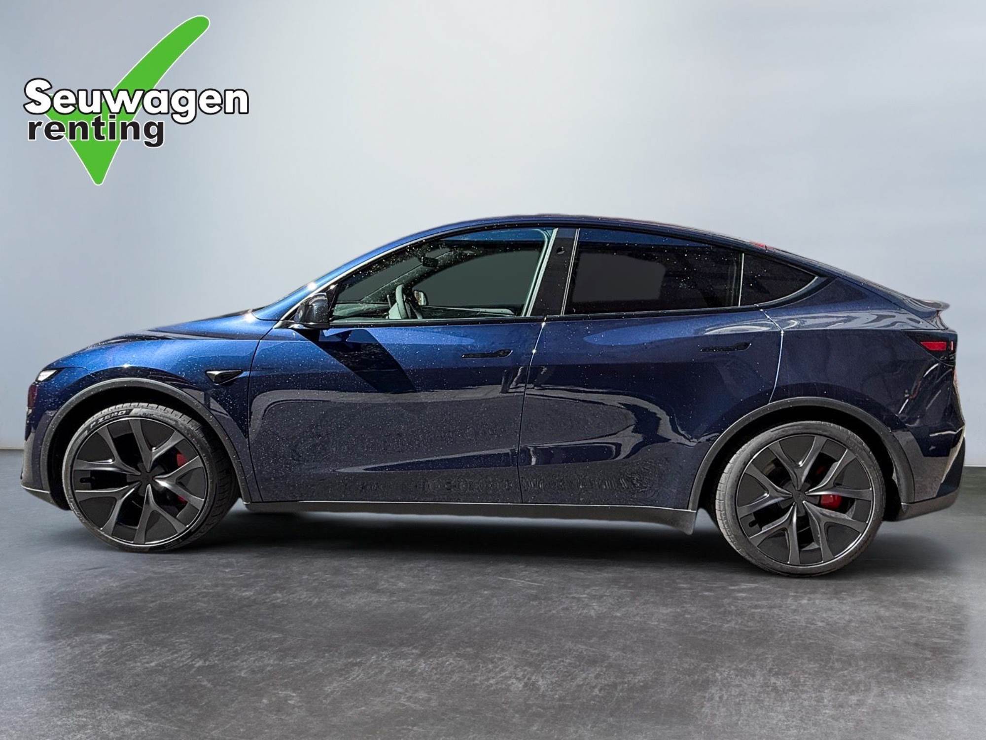 Tesla Model Y Performance 534 CV