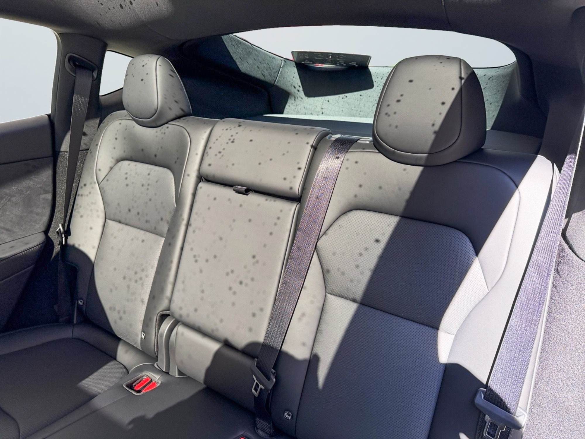 Tesla Model Y Performance 534 CV