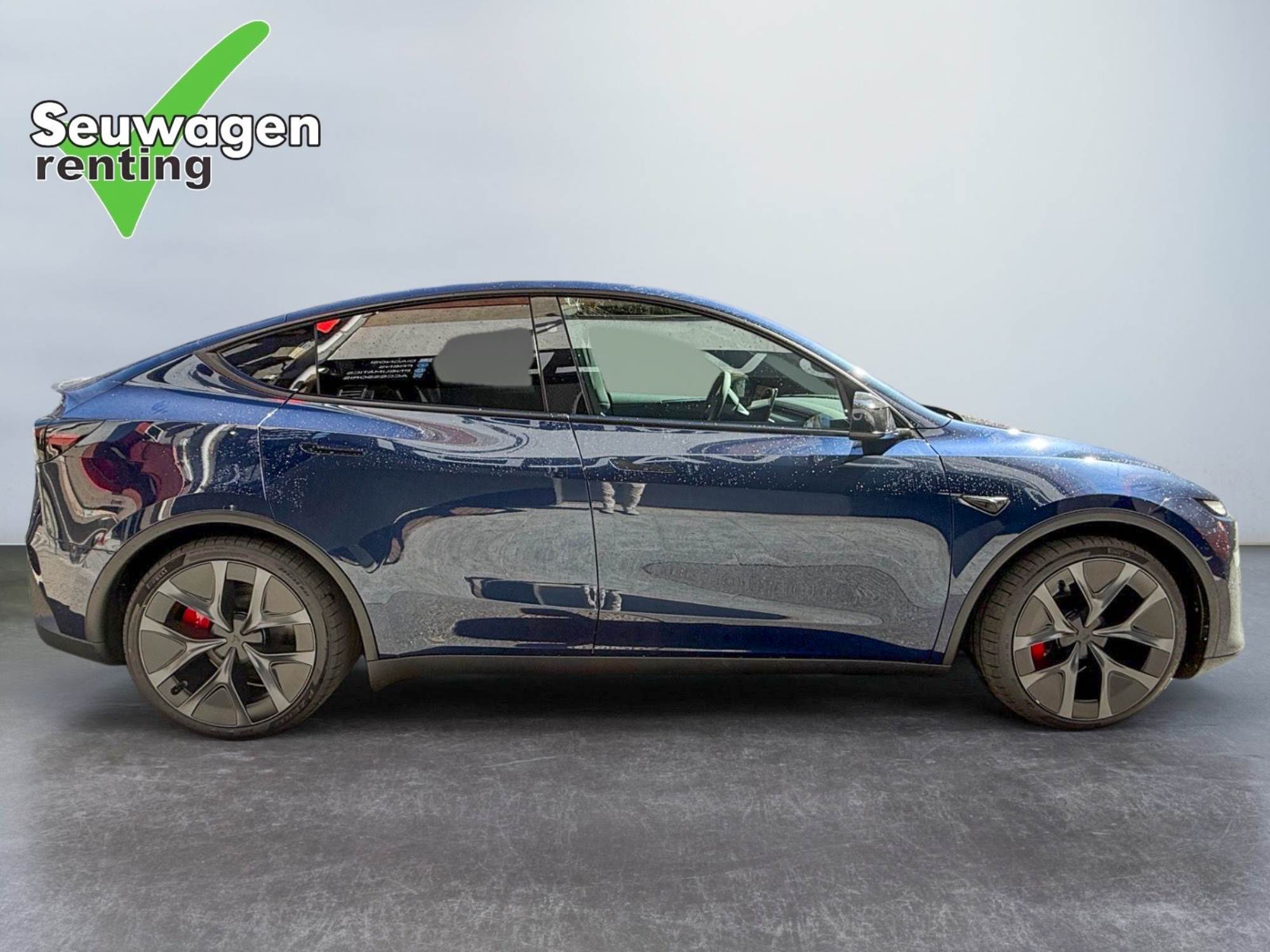 Tesla Model Y Performance 534 CV